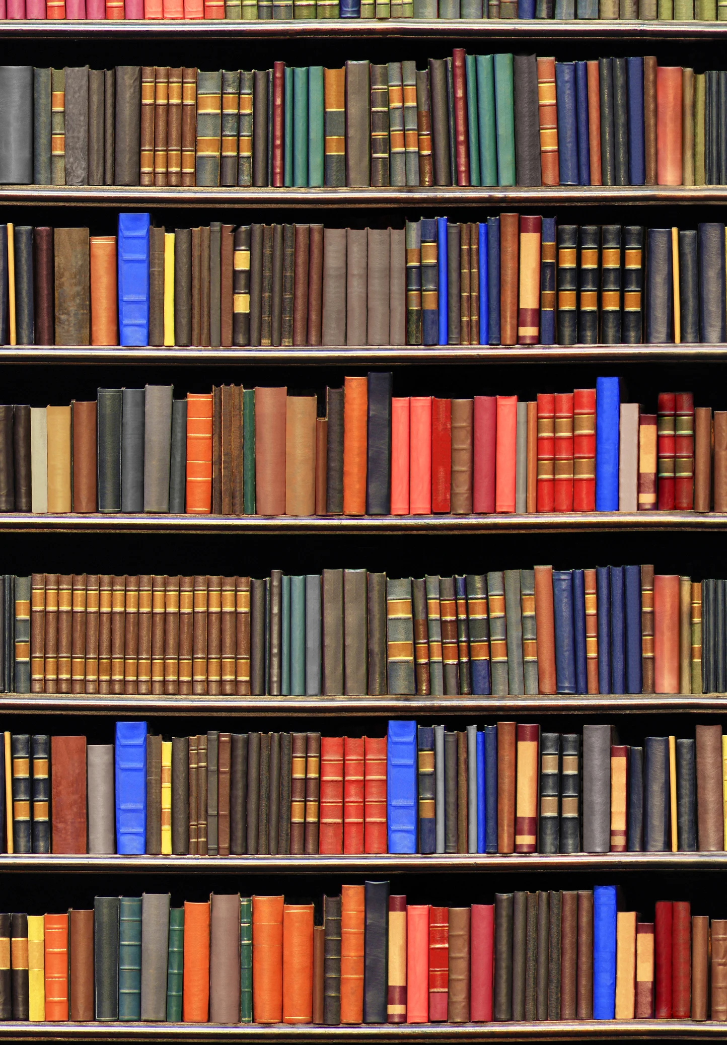 Marques Mendes doa quase 200 livros à Biblioteca Municipal de Fafe
