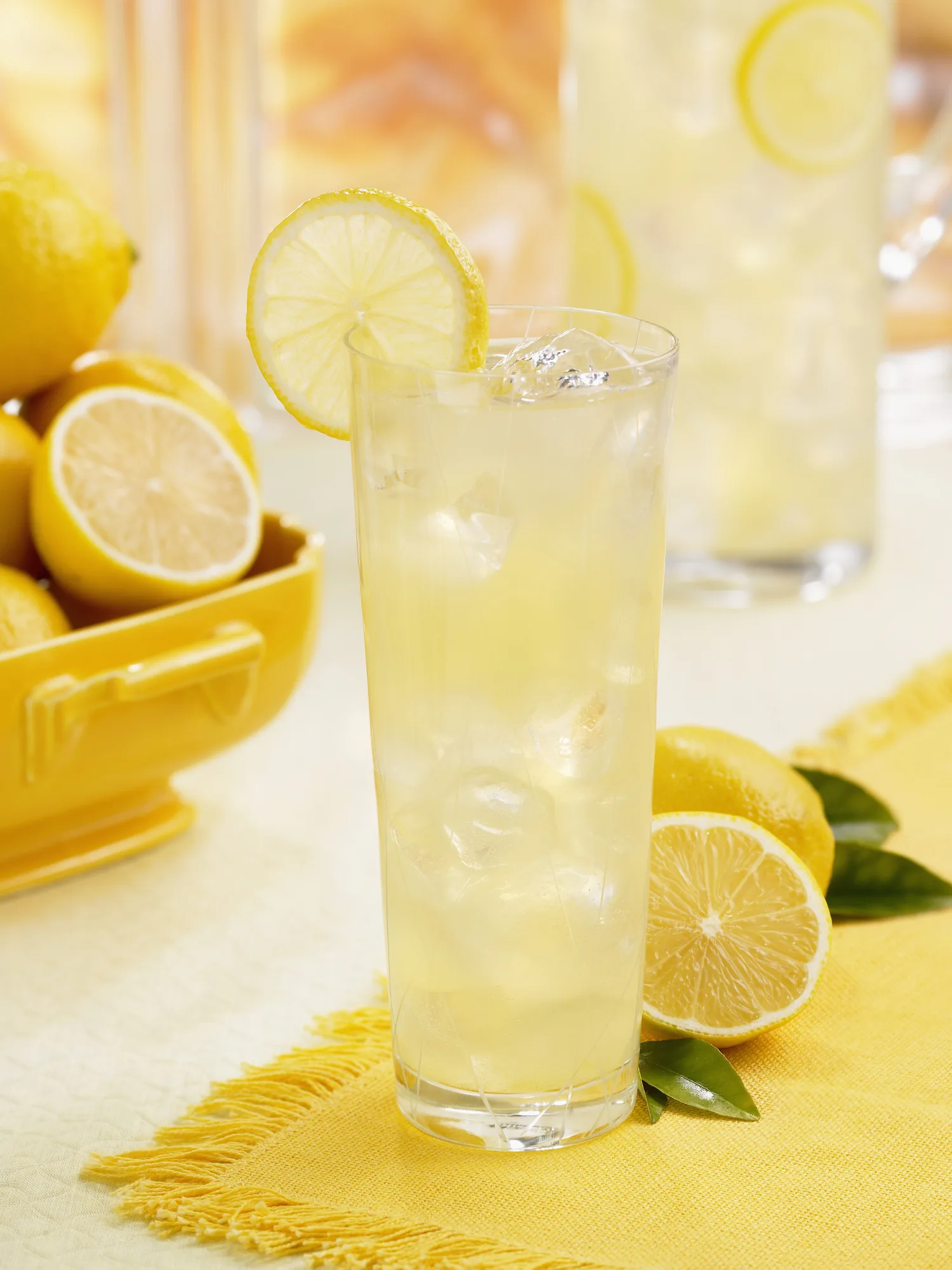 10 Refreshing Lemonade Beverages