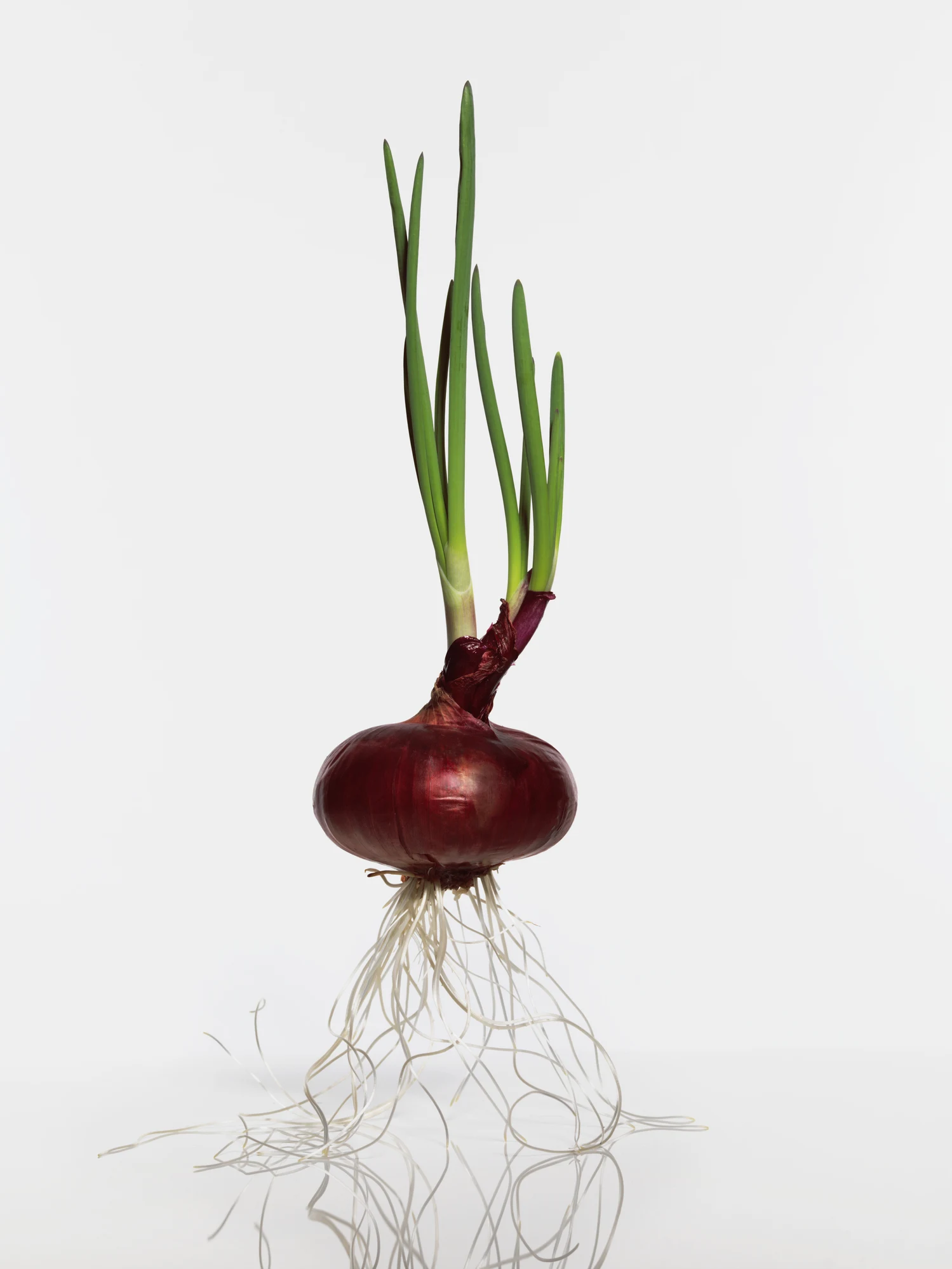 Foodie wows million with her simple onion chopping hack