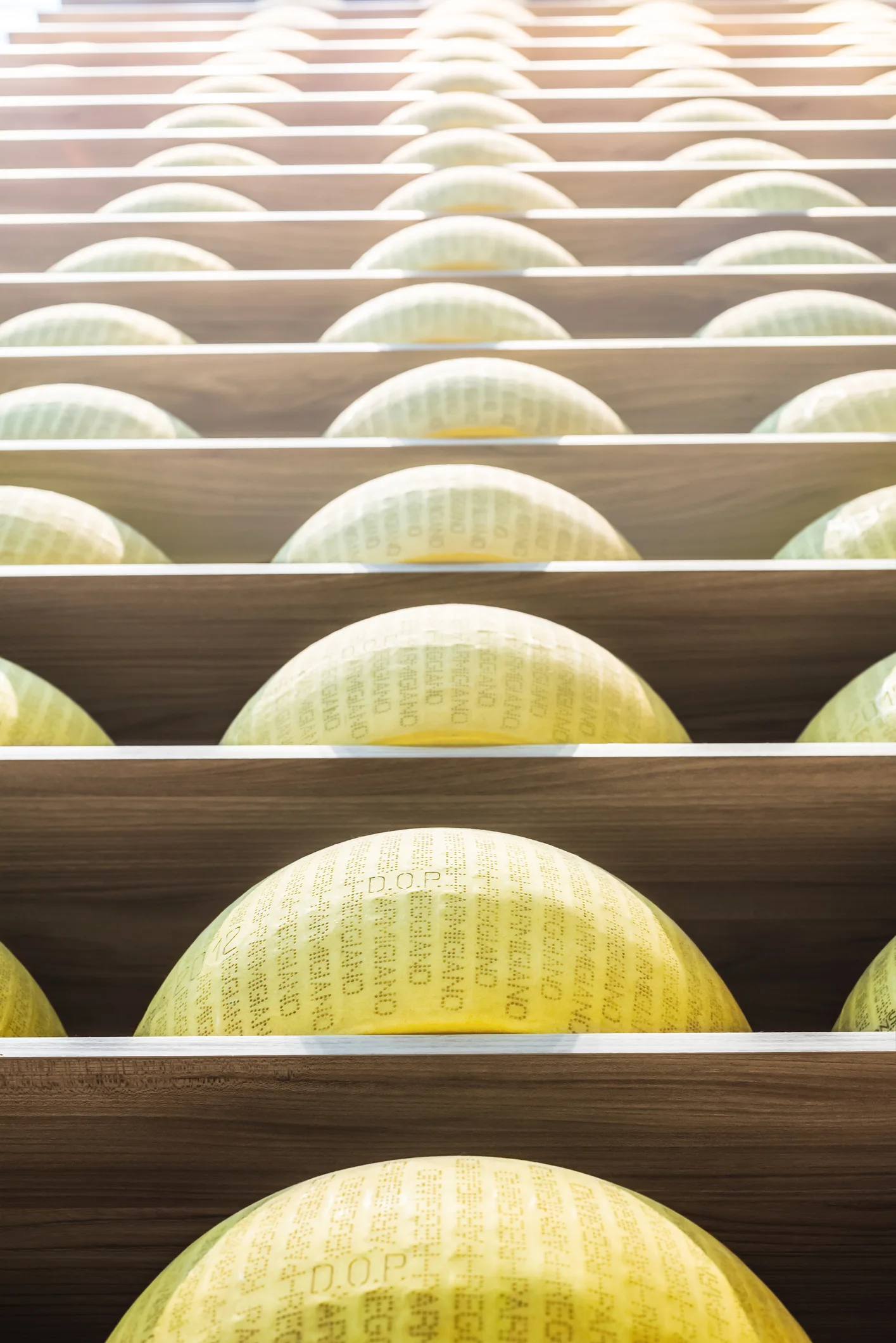 Parmigiano Reggiano | che impatto hanno i batteri al suo interno