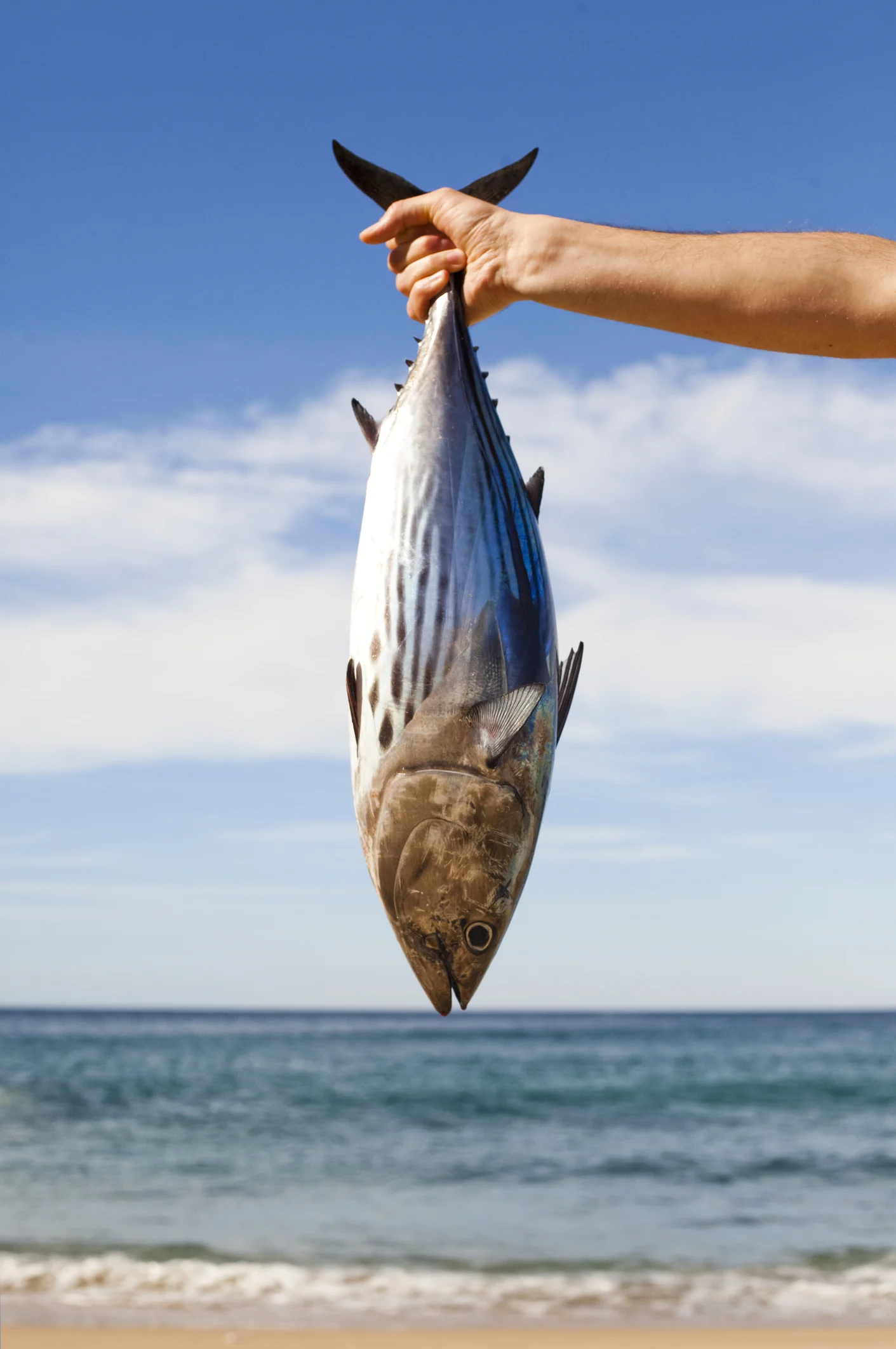 Rezeki Mangsa Banjir, Ikan Kelah RM3,100 Bantu Tampung Belanja Rumah.