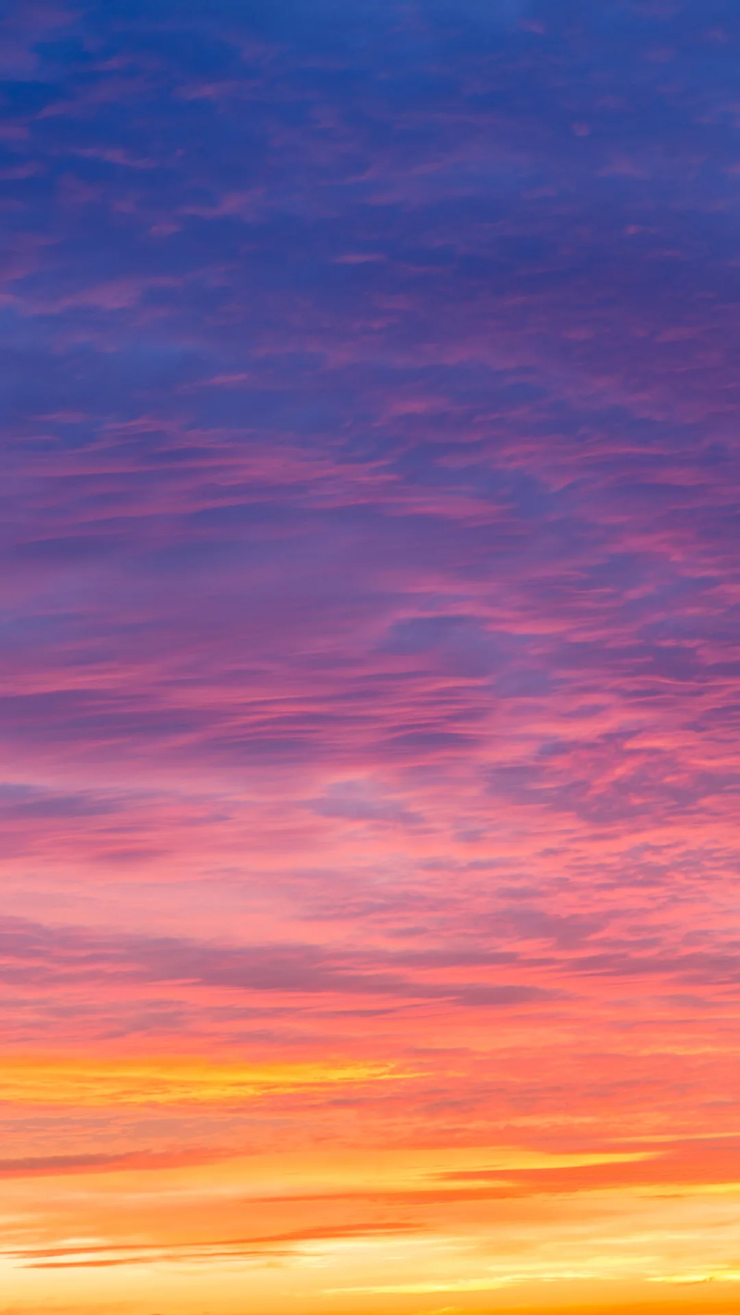 【安野光雅が描く洛中洛外】もう一度見たい作品２２位 「琴引浜の夕日」