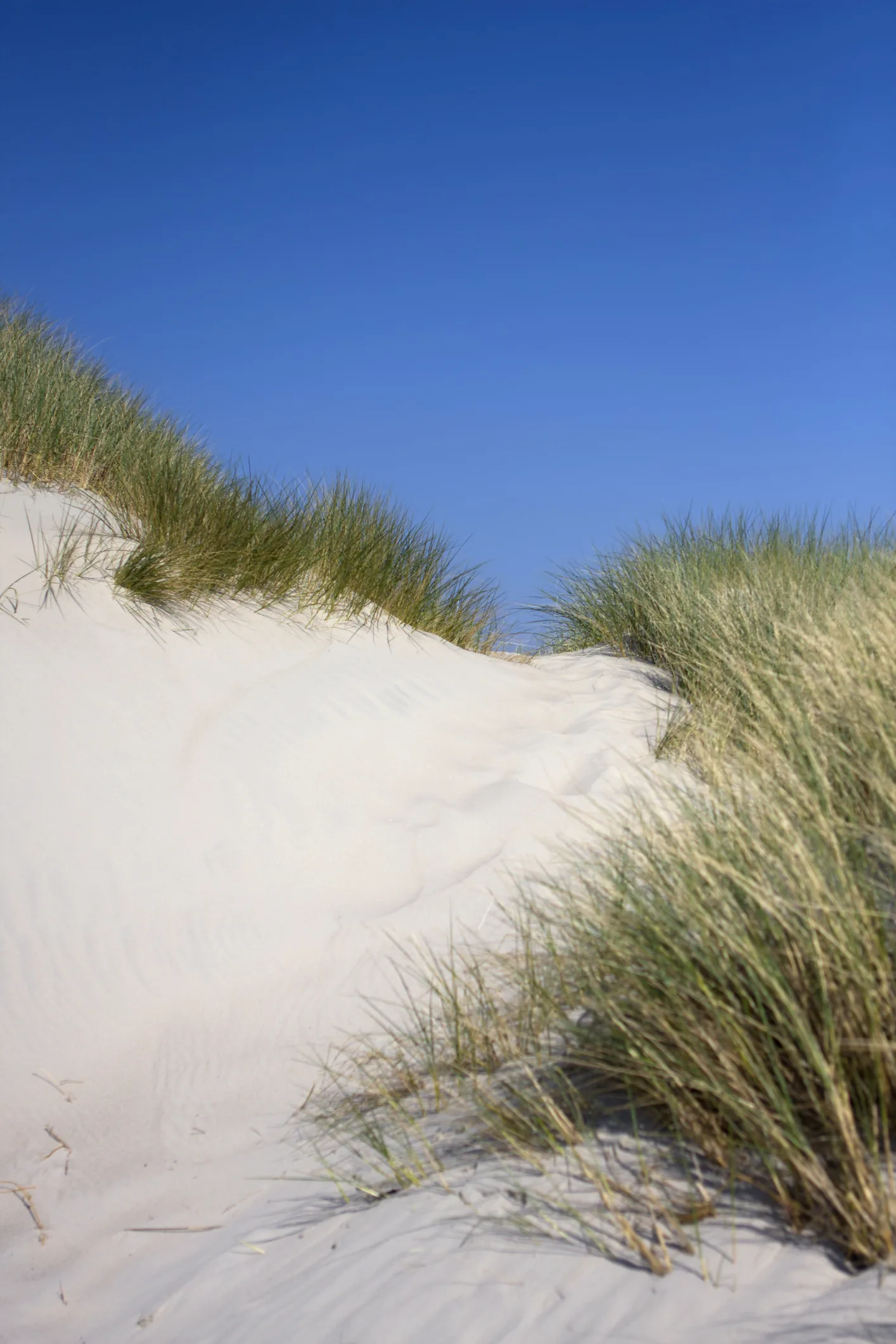 Urlaub: Nordseeinsel Spiekeroog ist absoluter Geheimtipp – ohne Flugchaos