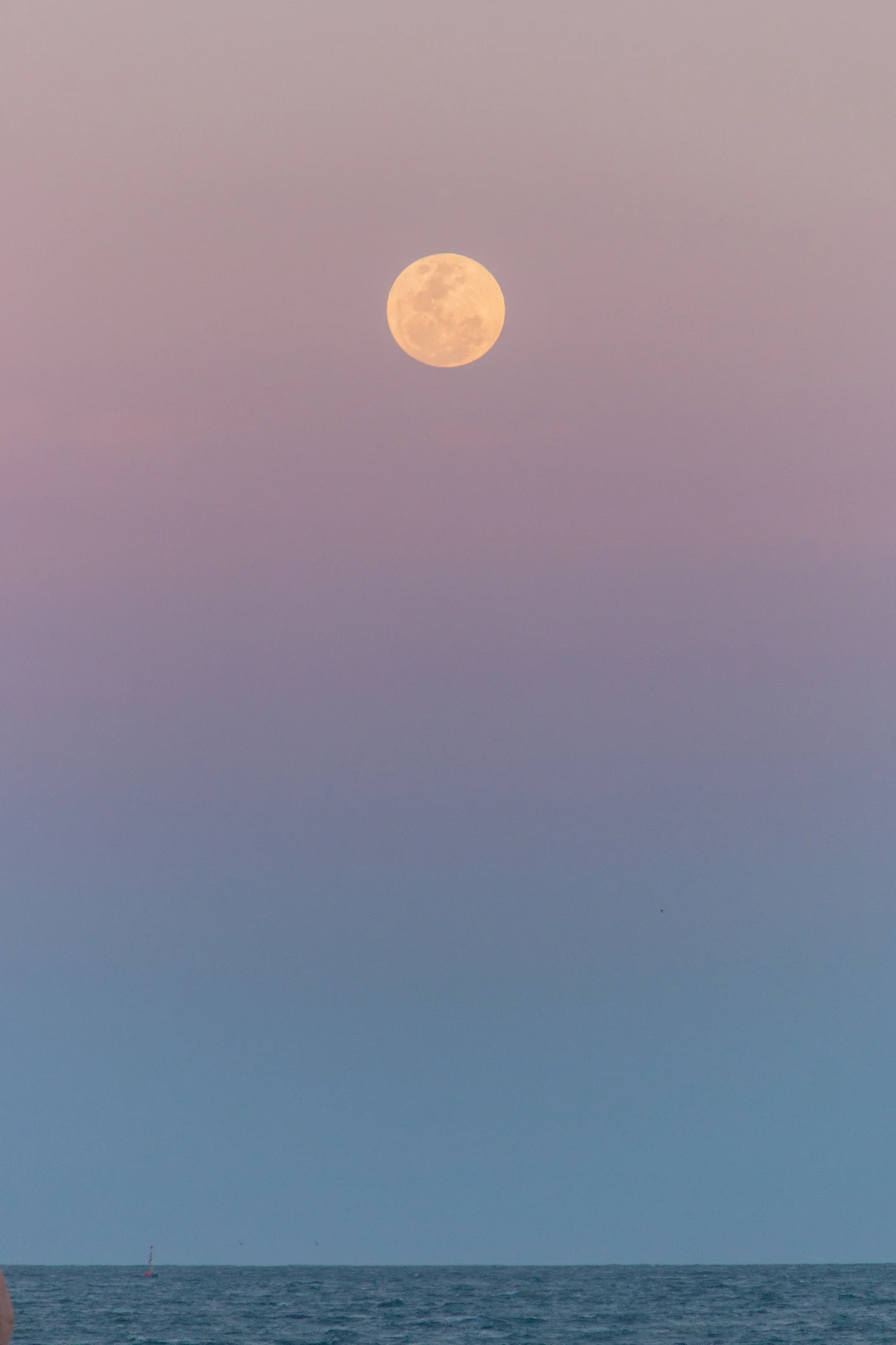 The Full Moon In Aquarius Wants You To Practice Forgiveness