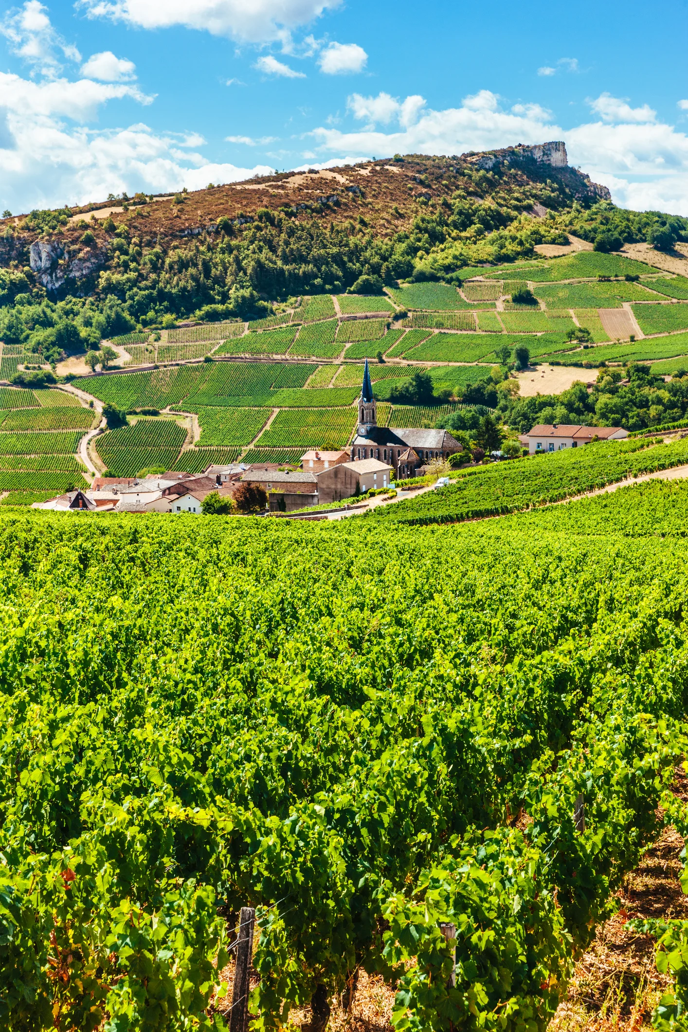 Highlights of a Burgundy, France river cruise