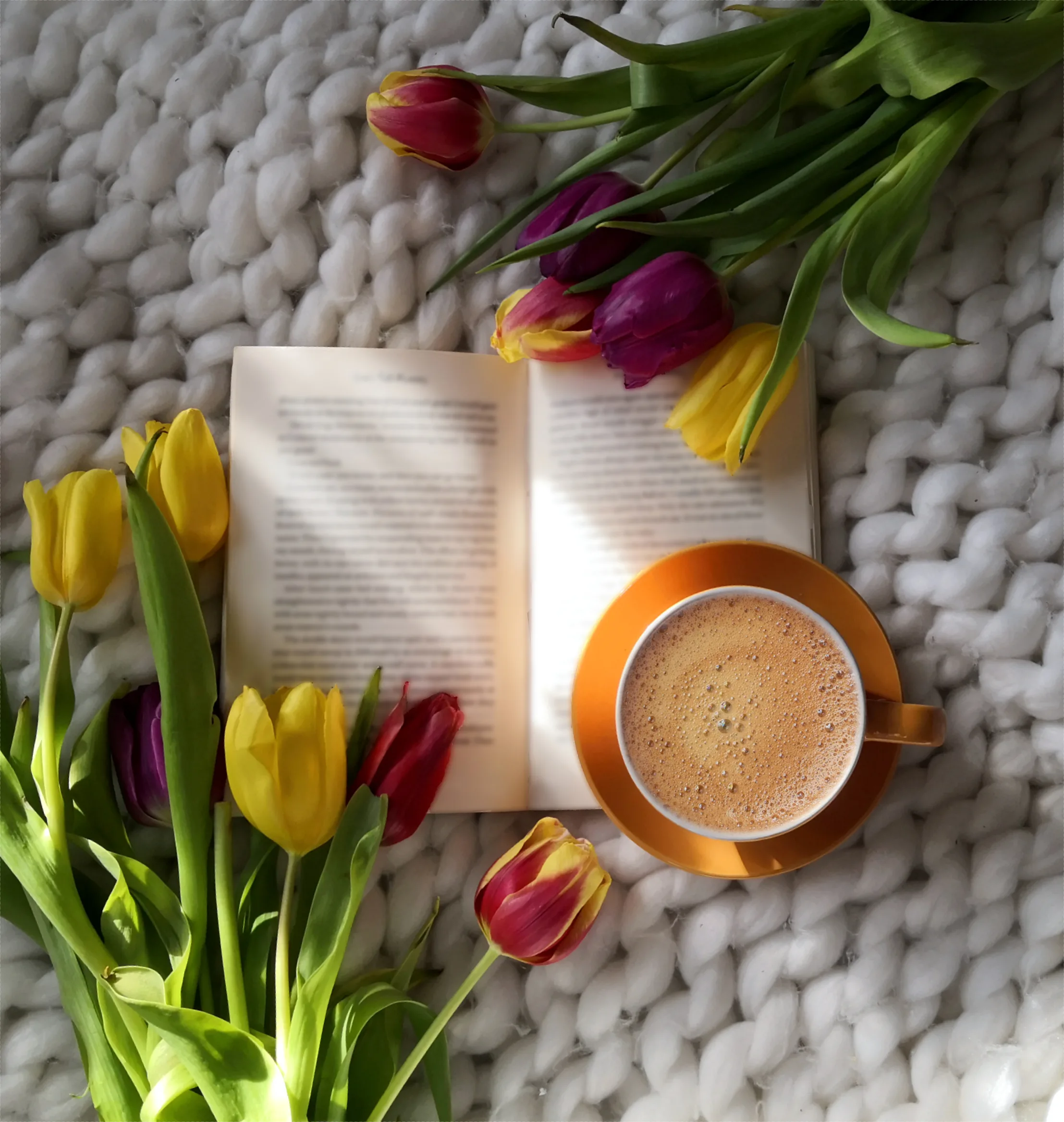 Những chiếc lá chữ...