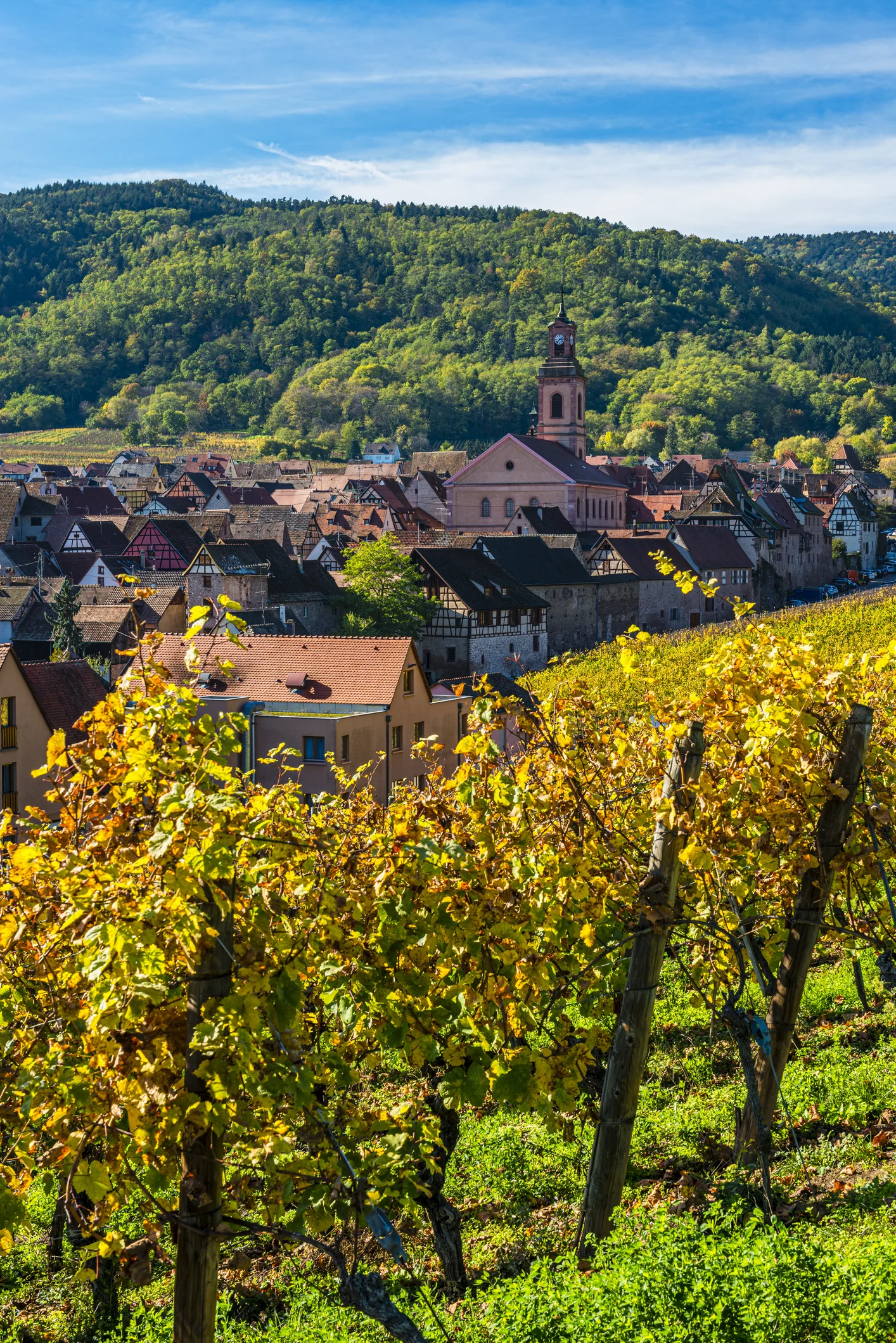 Guida di Riquewihr, il borgo dell’Alsazia e della Bella e la Bestia