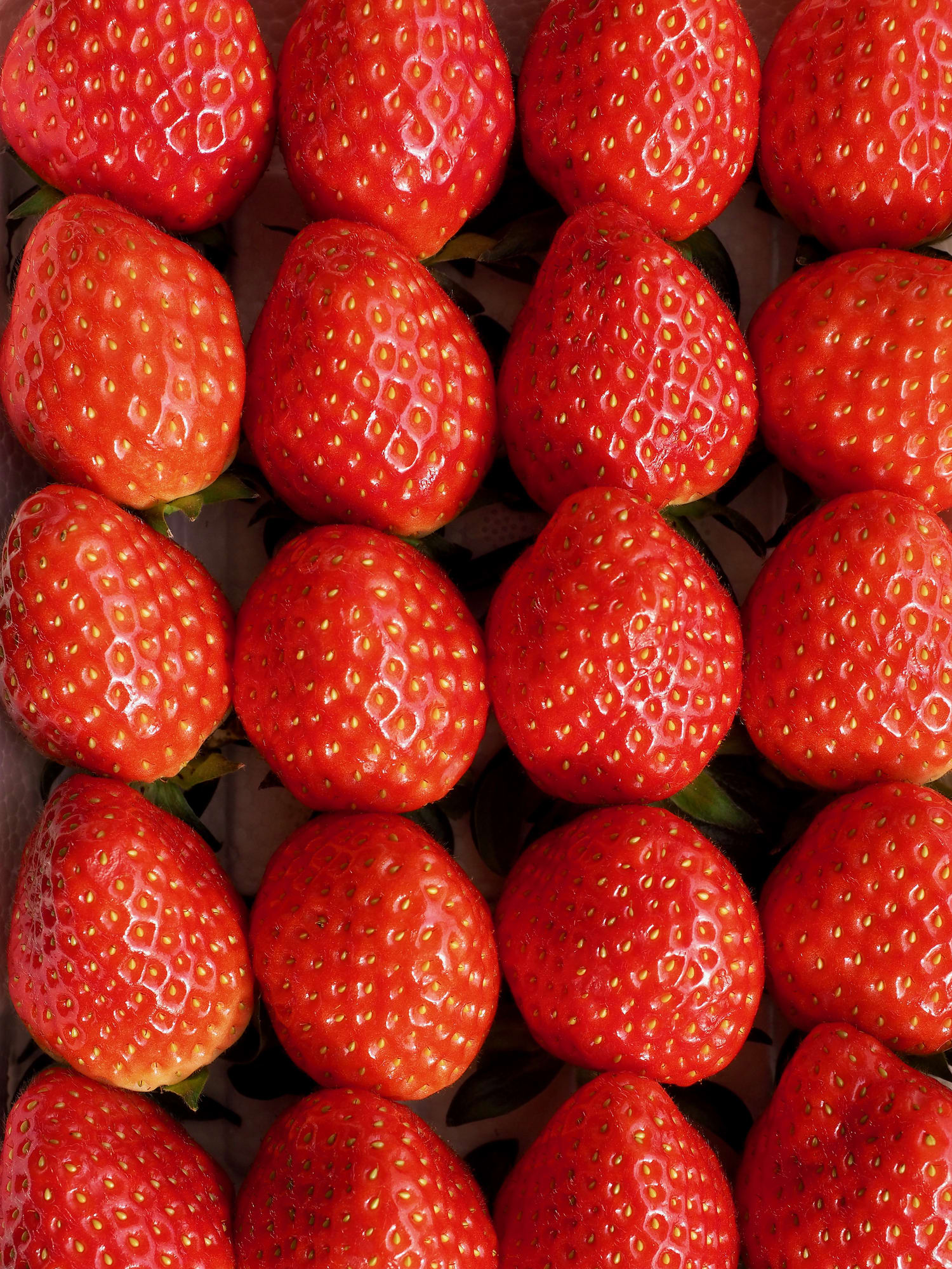 Cómo conservar las fresas para que duren más tiempo y no se estropeen