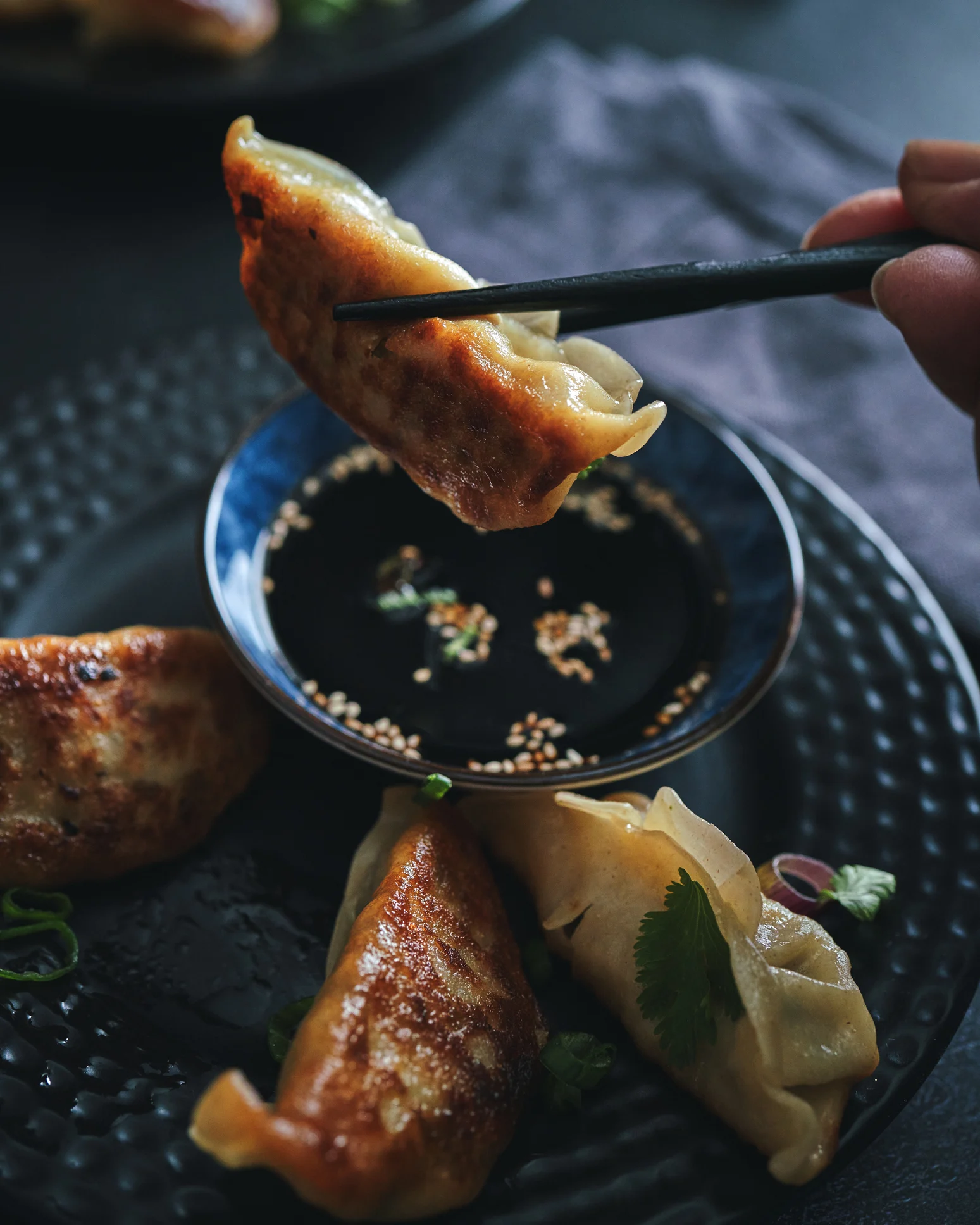 อร่อยข้ามชาติ “เกี๊ยวซ่าหม่าล่าชีส” ตำรับไทย-จีน-ญี่ปุ่น