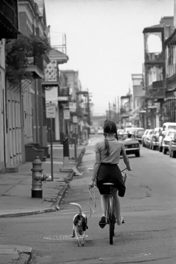 Si può andare in bici con il cane al guinzaglio?
