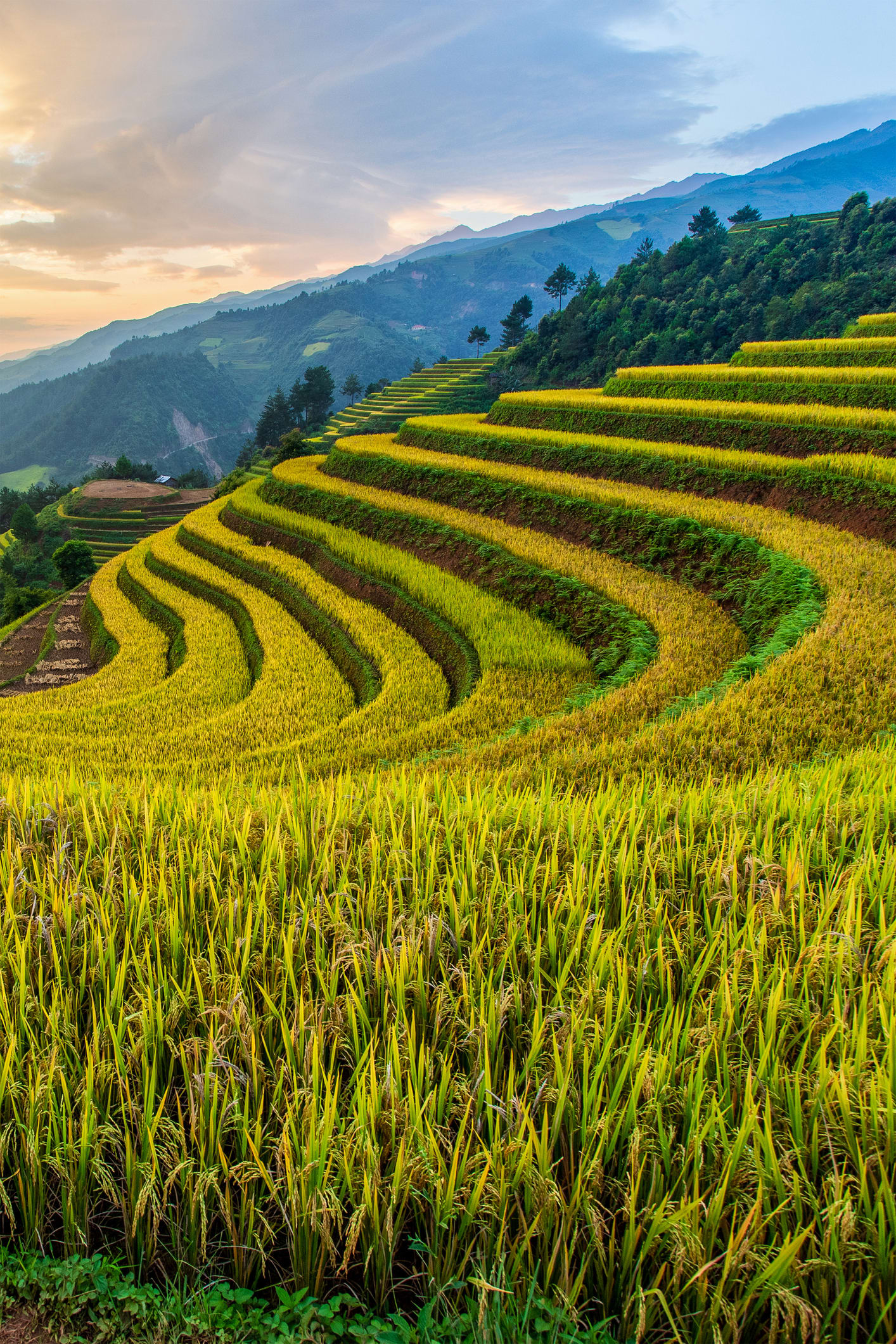 Người dân hài lòng mới được công nhận nông thôn mới