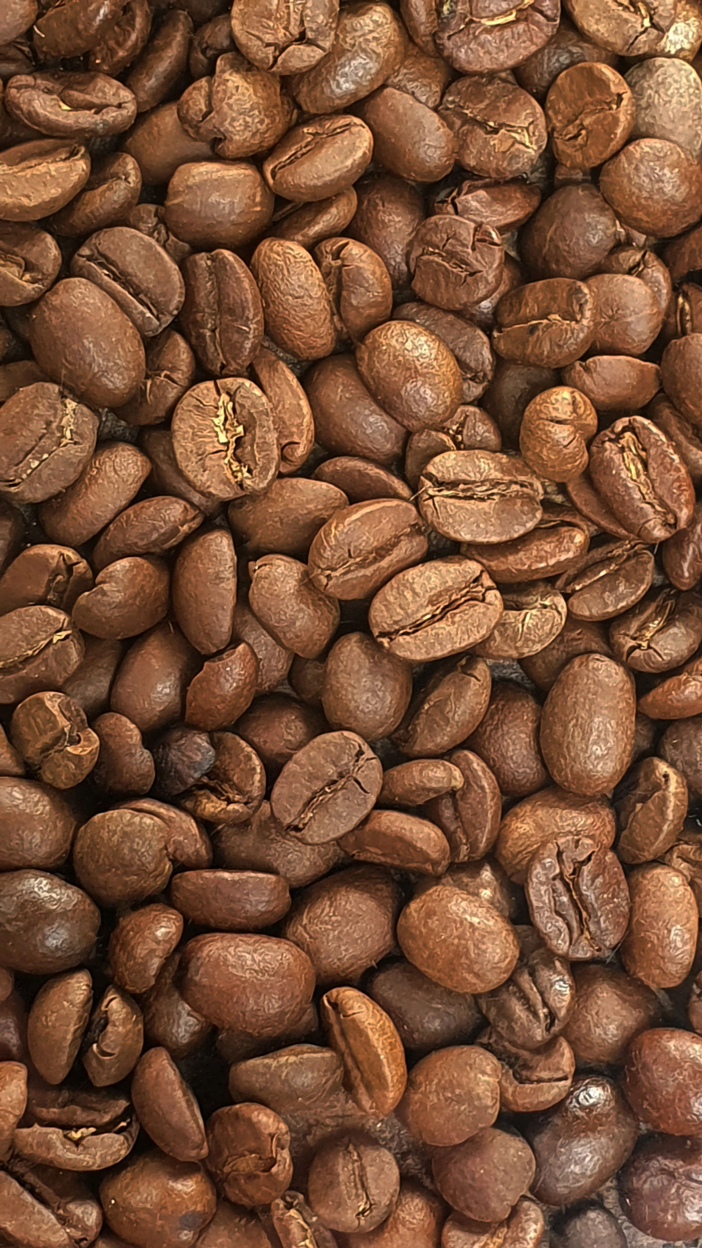 A Serious Review of Pacquiao Coffee