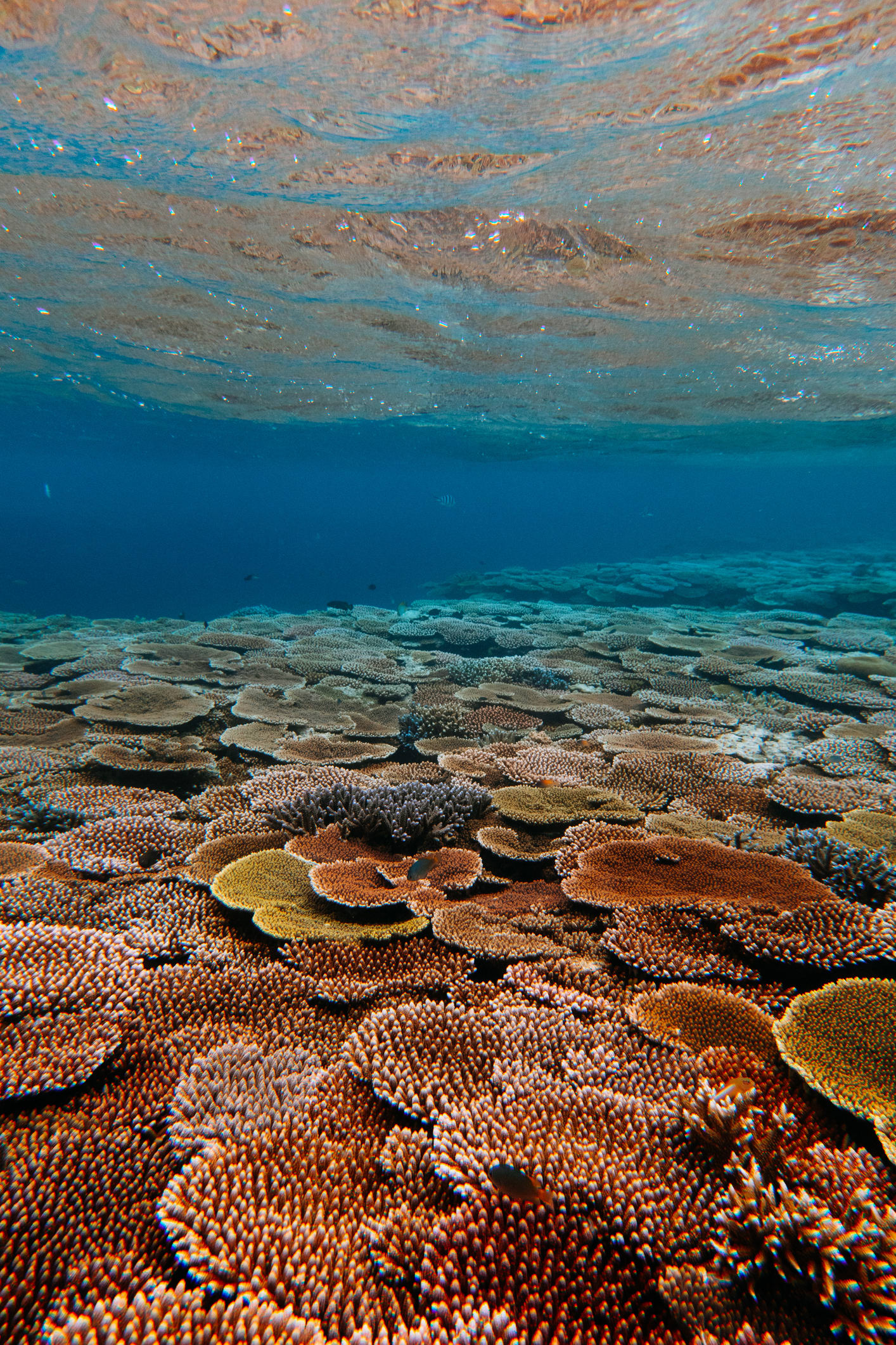 Wissenschaftsquiz: Beweisen Sie Ihr Wissen zum Thema Biodiversität!