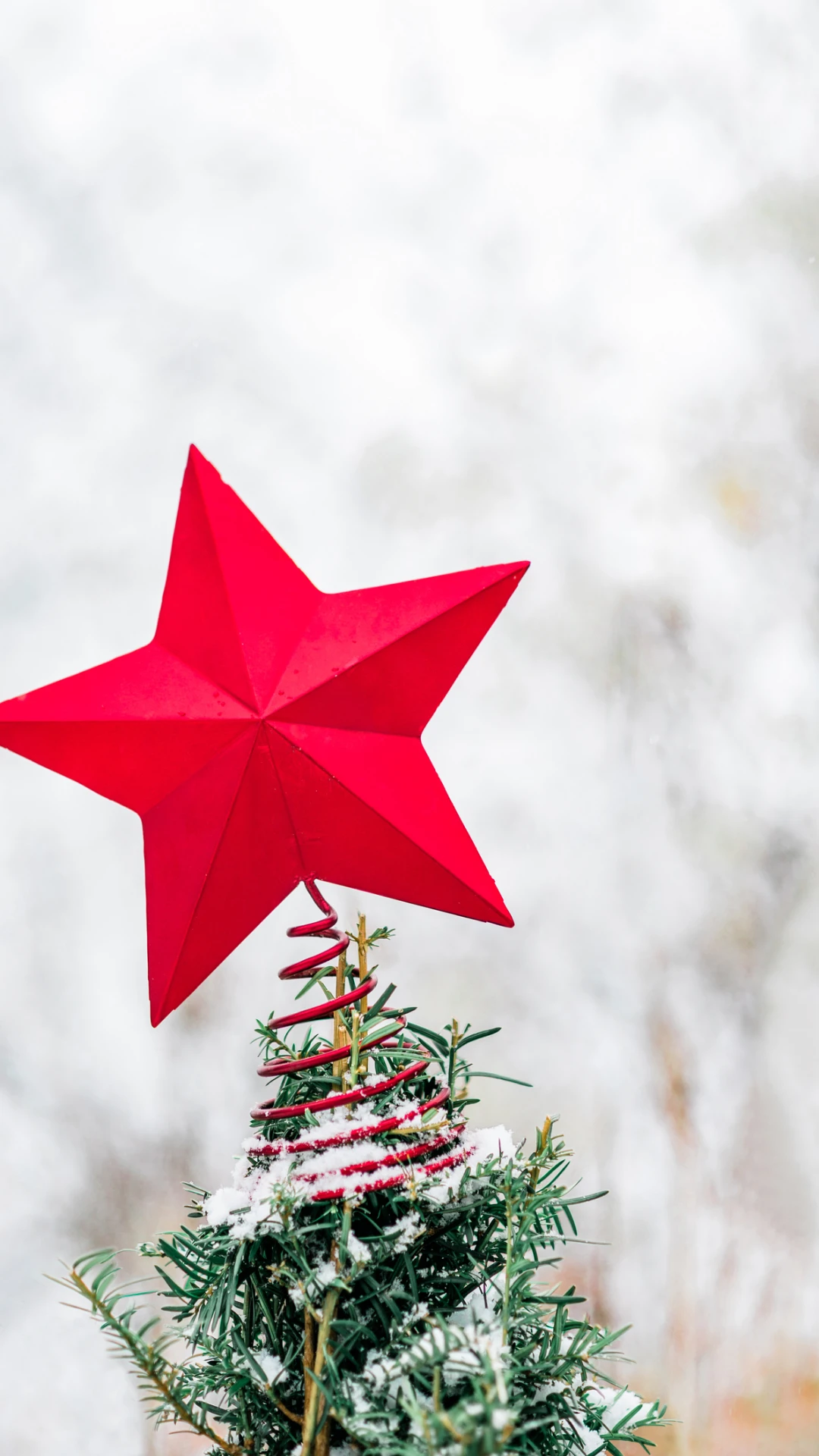 Alison Hammond breaks This Morning's Christmas decorations