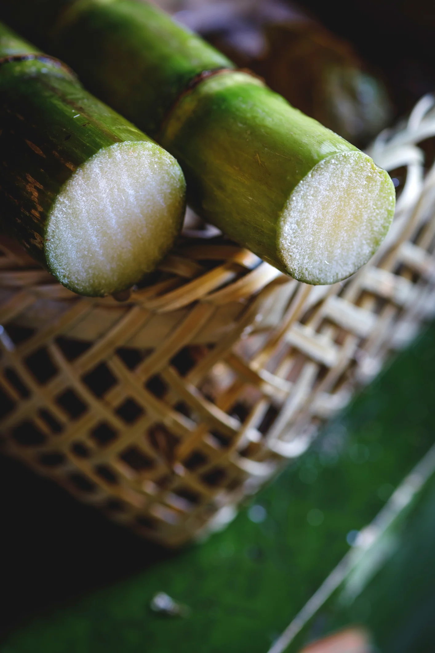 تعرف على فوائد قصب السكر