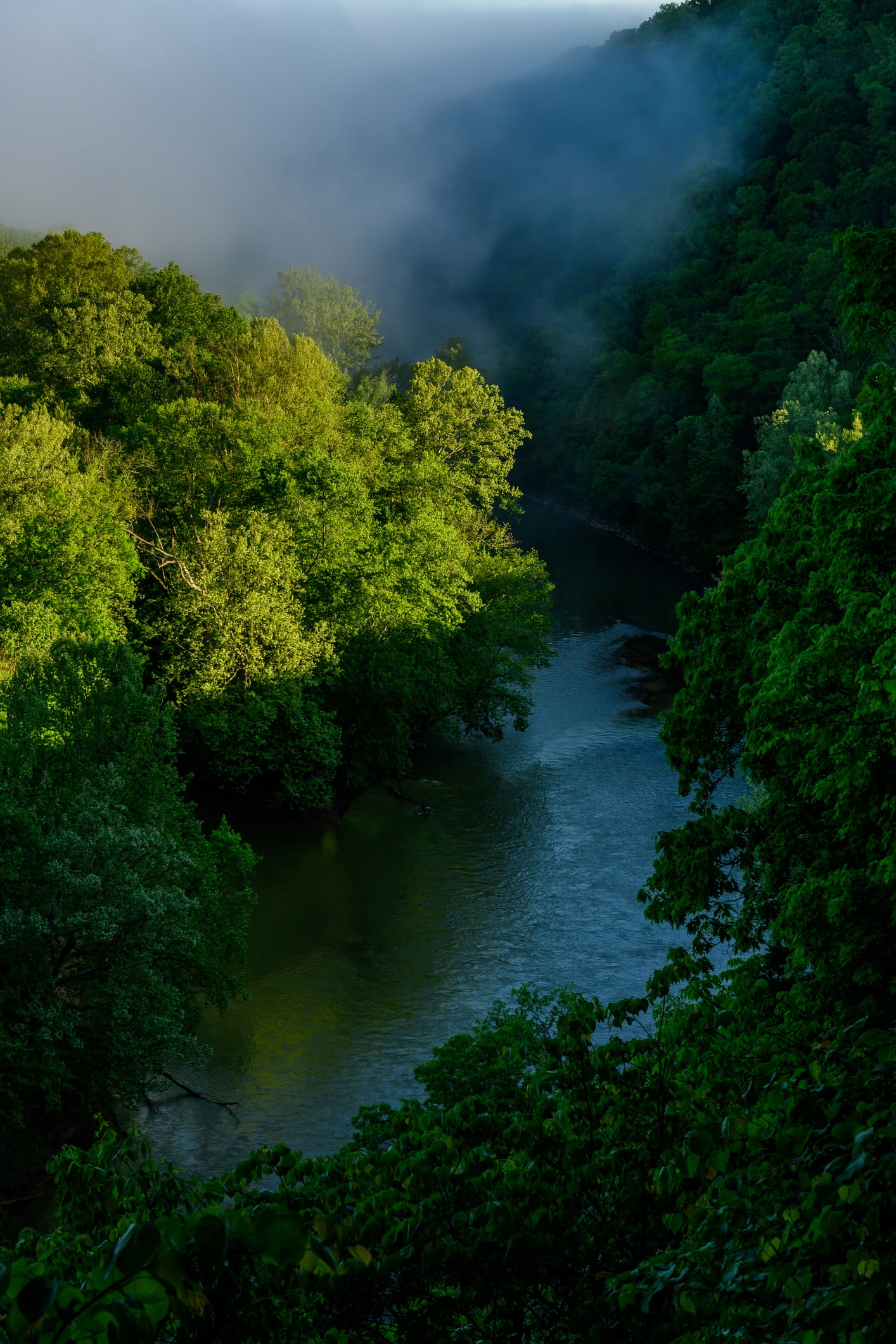 Mammoth Cave historical dig uncovers 19th and 20th-century artifacts