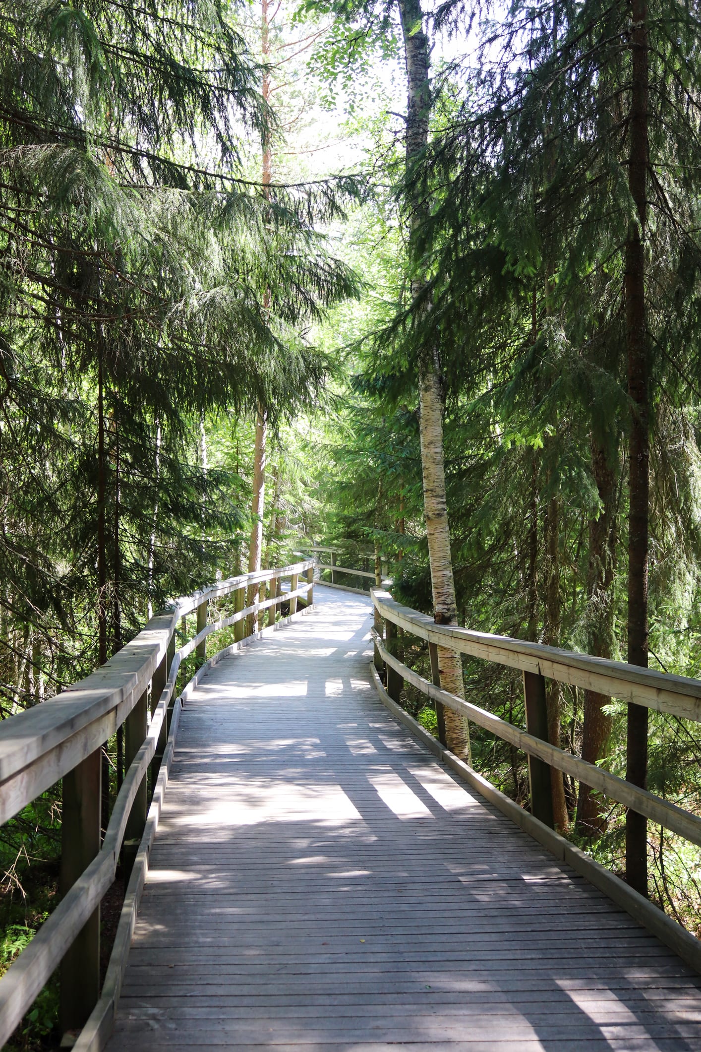 These are the 10 best zoos across the United States