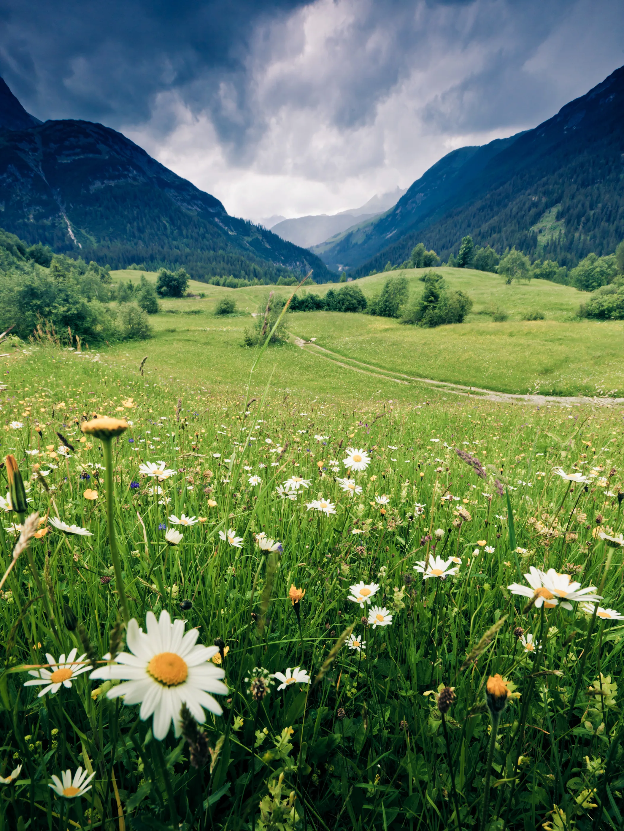 ไม่ธรรมดา! “ทุ่งหญ้าบุตาปอด” อช.ปางสีดา แหล่งอาหารสัตว์ป่ามากเสน่ห์อันซีนมรดกโลก
