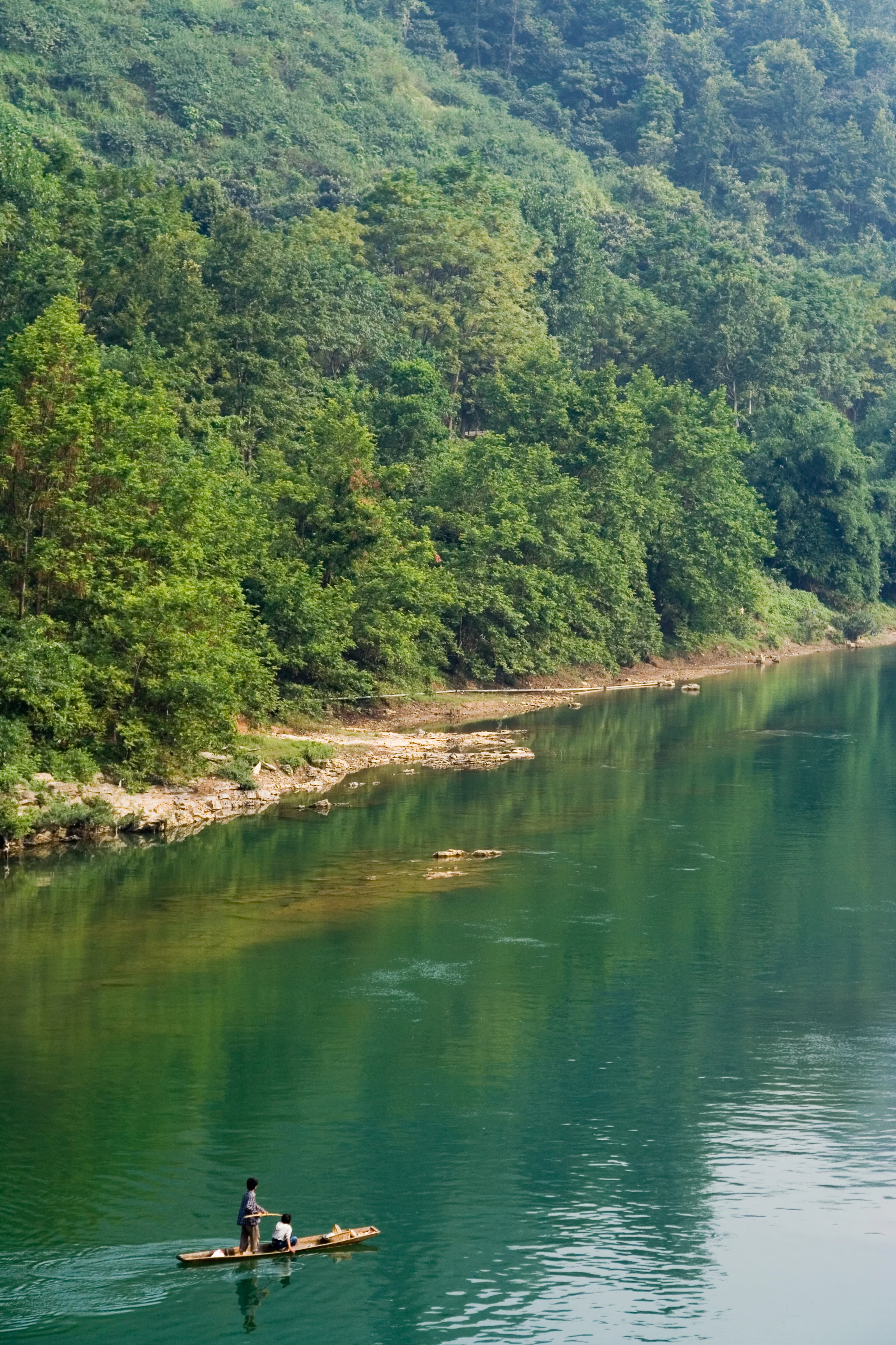 Scoperta in Cina un’antica foresta nascosta: è dentro una voragine profonda 192 metri e potrebbe ospitare un tesoro di biodiversità