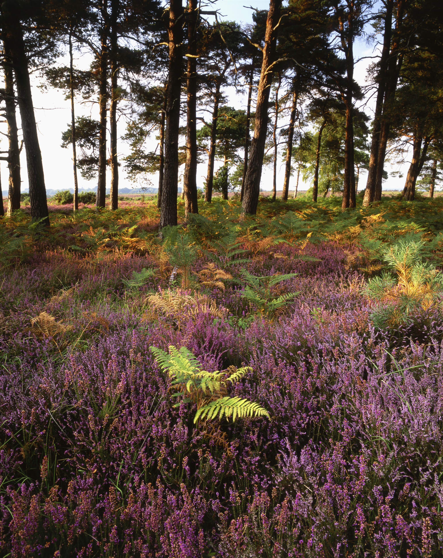Das sind die lustigsten deutschen Nachnamen