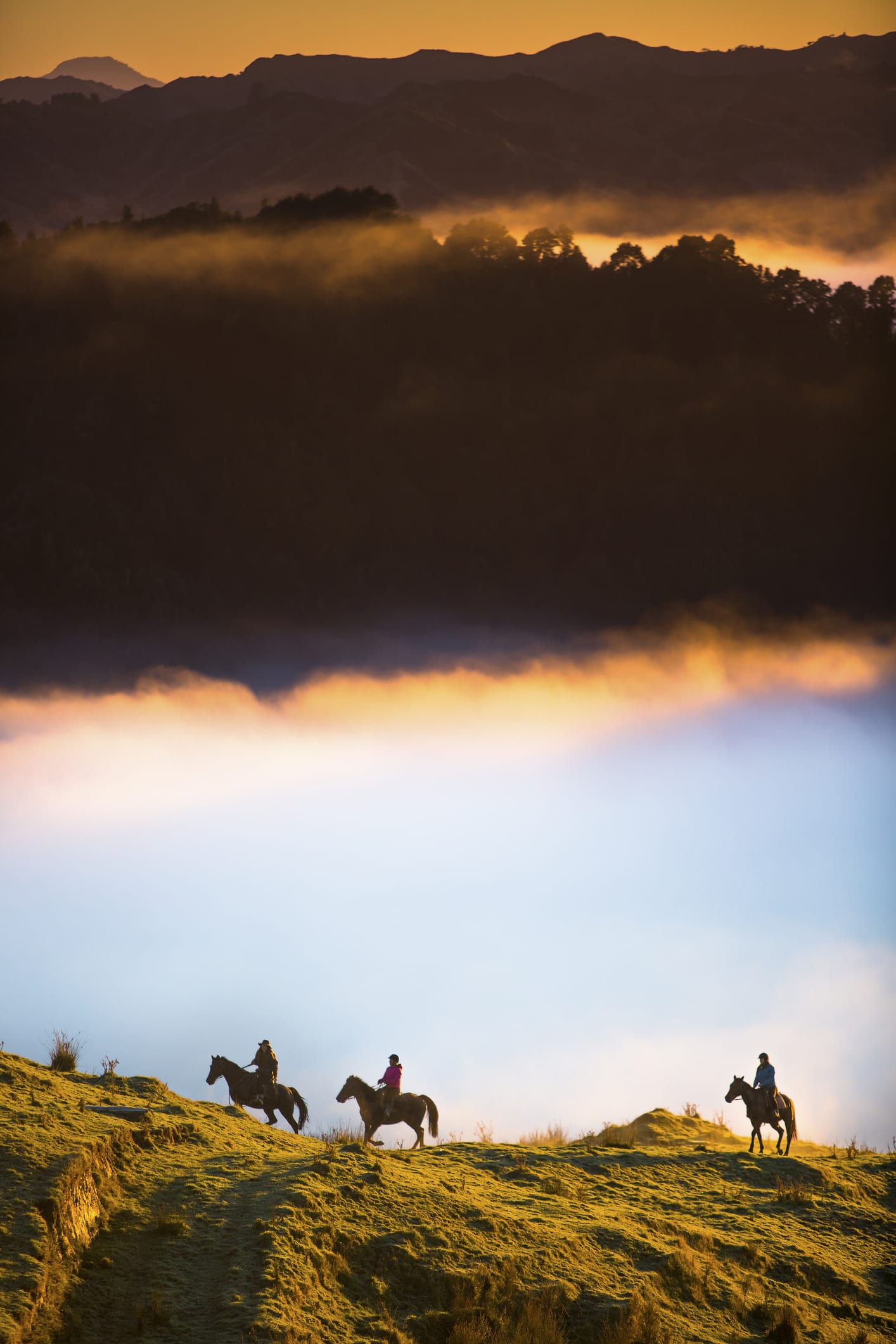 New Zealand Says Foreign Visitors Will Need to ‘Pay Their Way’