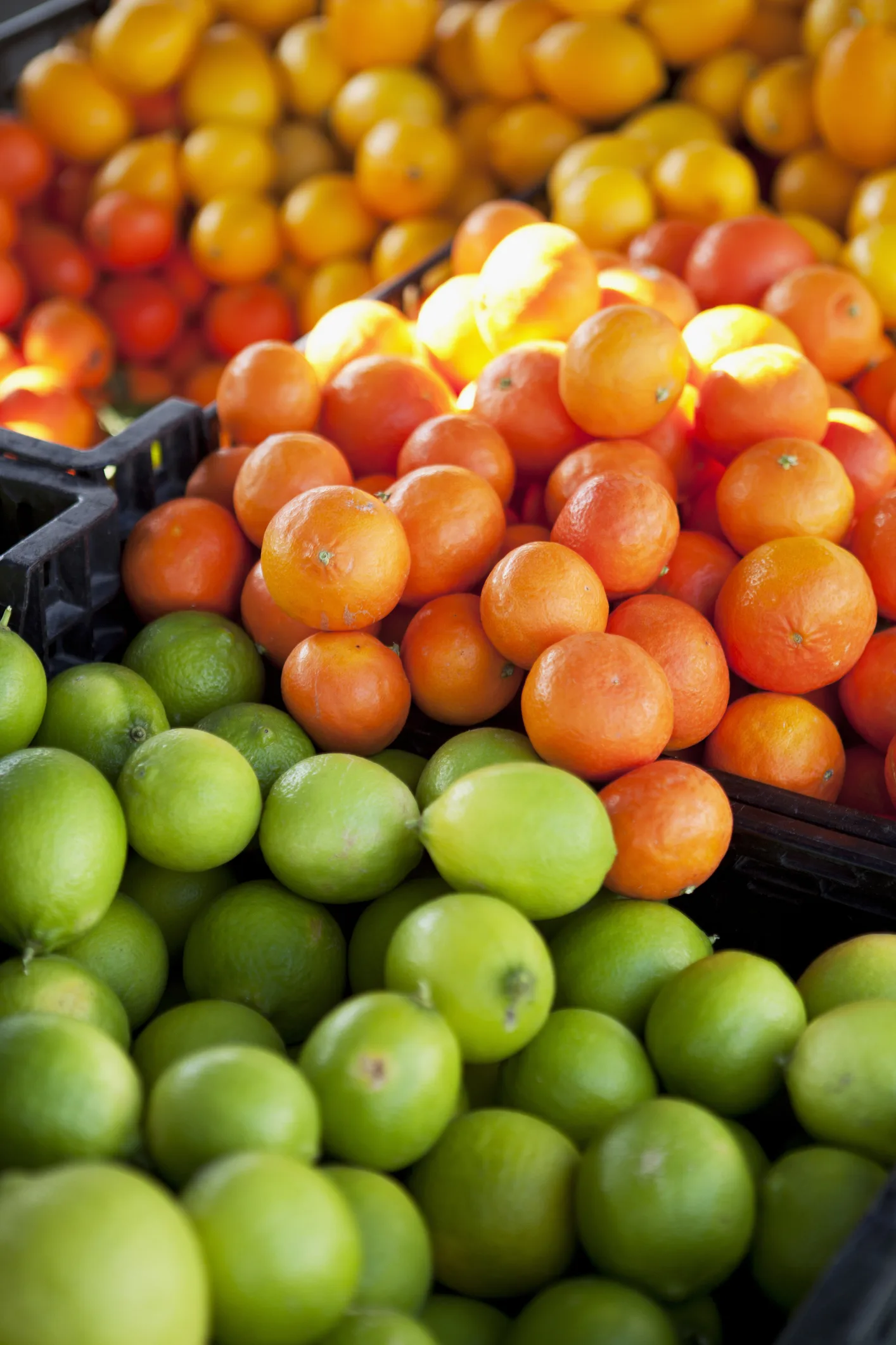 ما هي المغذيات النباتية.. وما فوائدها على صحة الإنسان