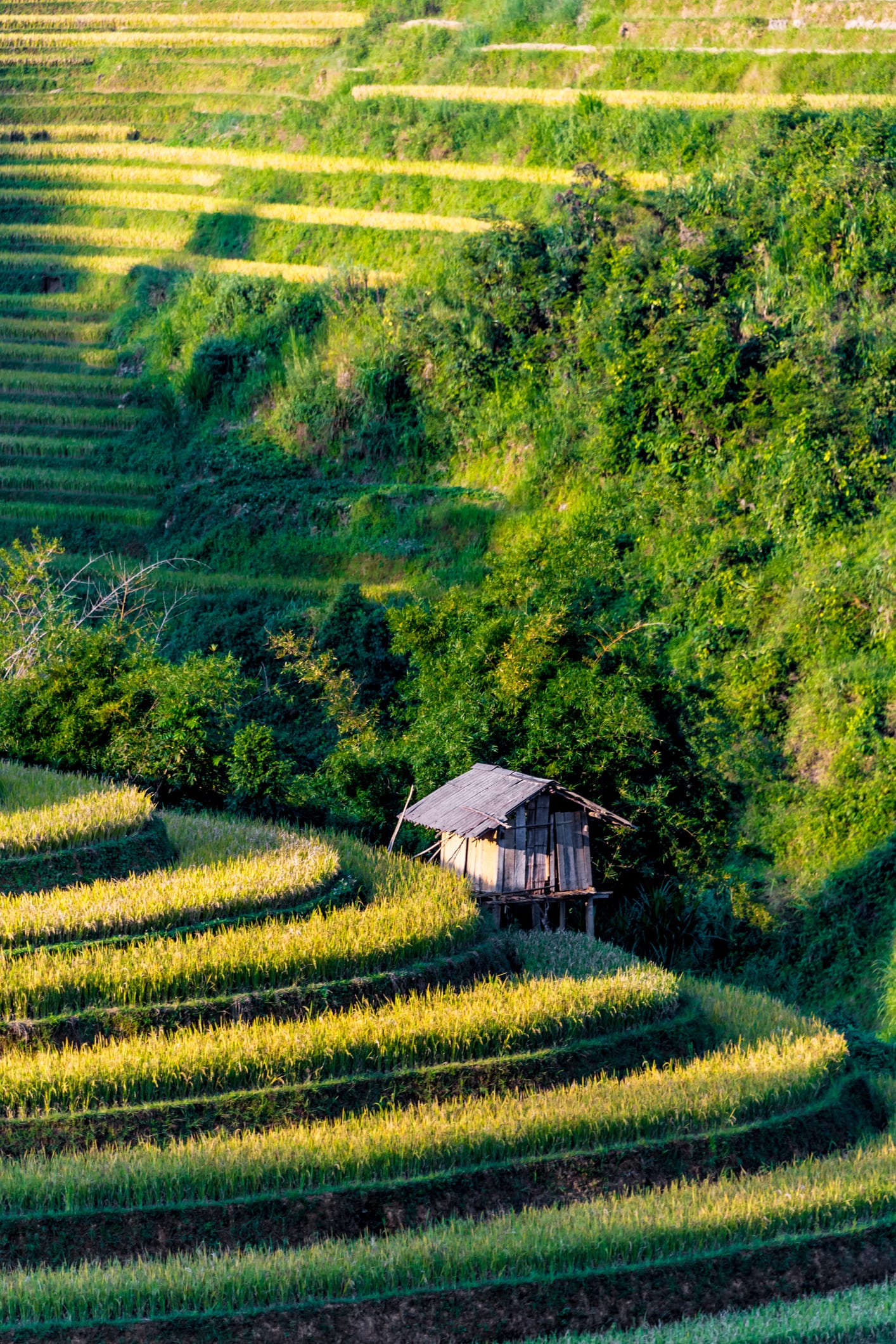 Người dân hài lòng mới được công nhận nông thôn mới