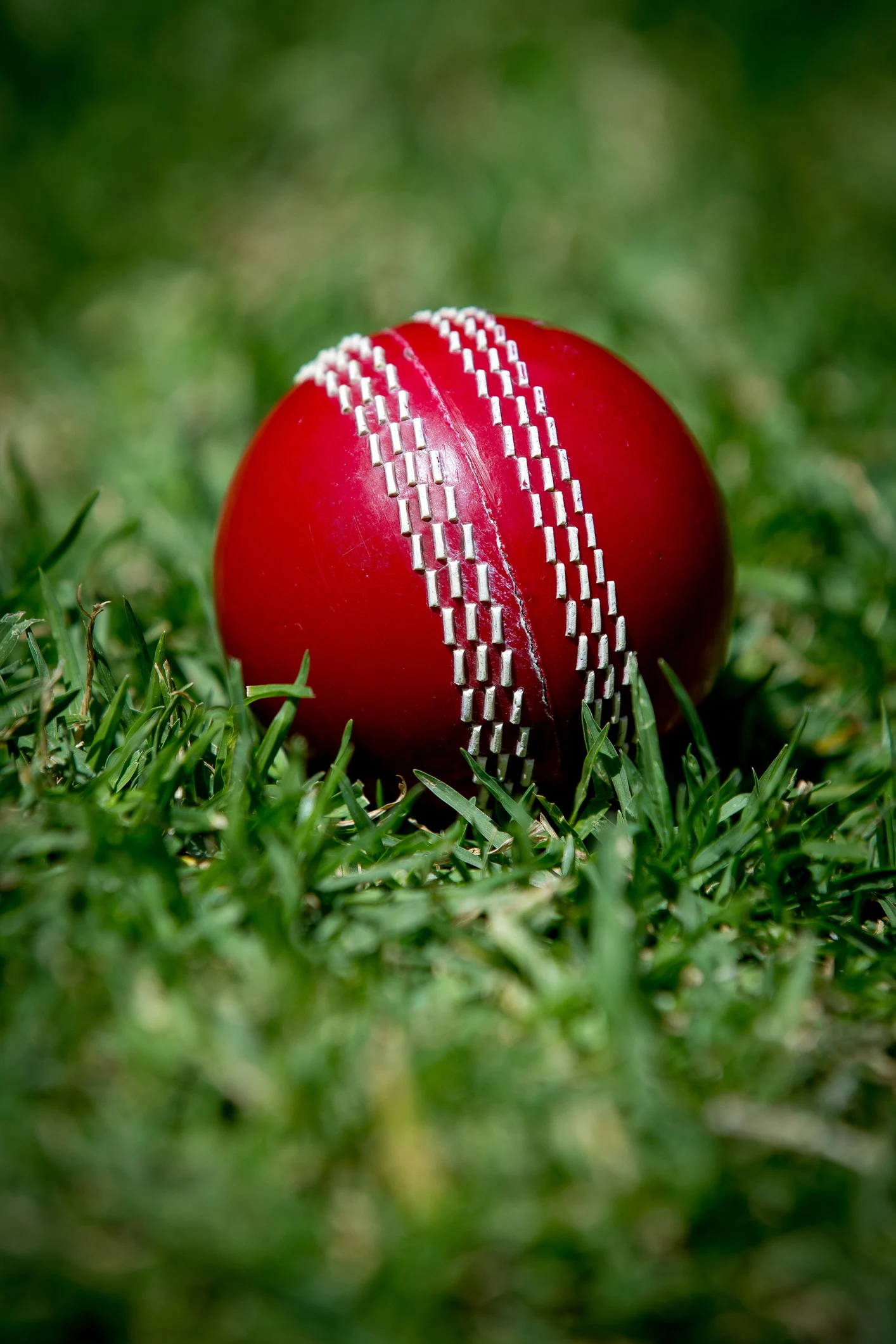 David gets MONSTER IPL deal