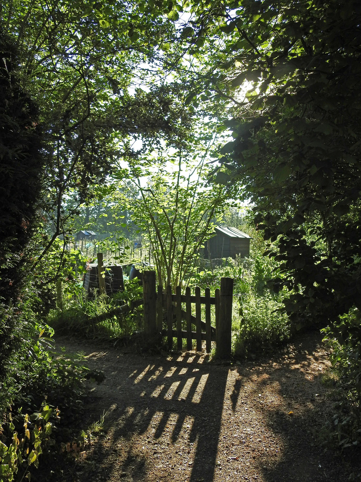 Nachhaltiges Gärtnern - Revolution Permakultur: Selbstversorgung in Krisenzeiten