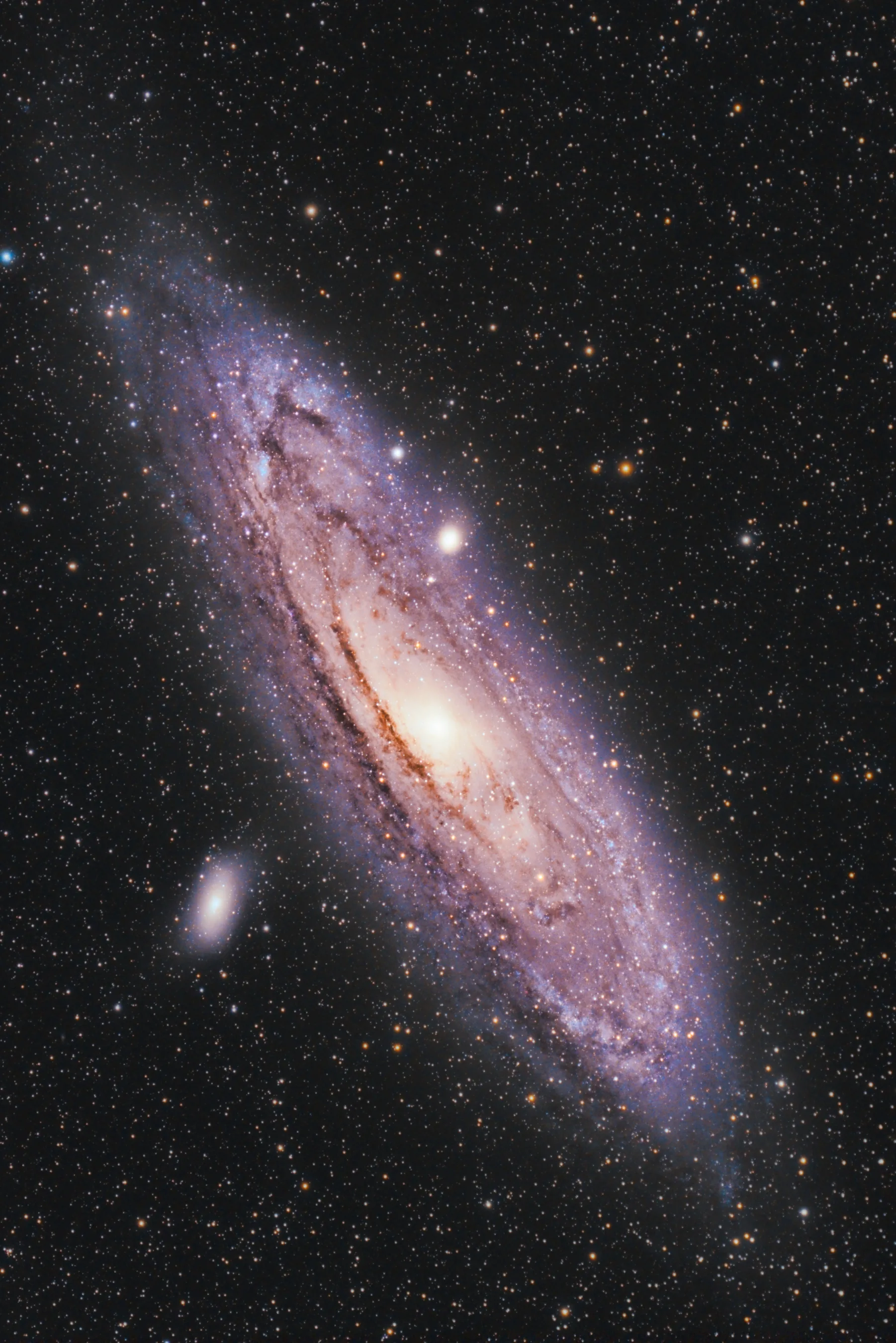 Black holes may grow quantum 'hair'