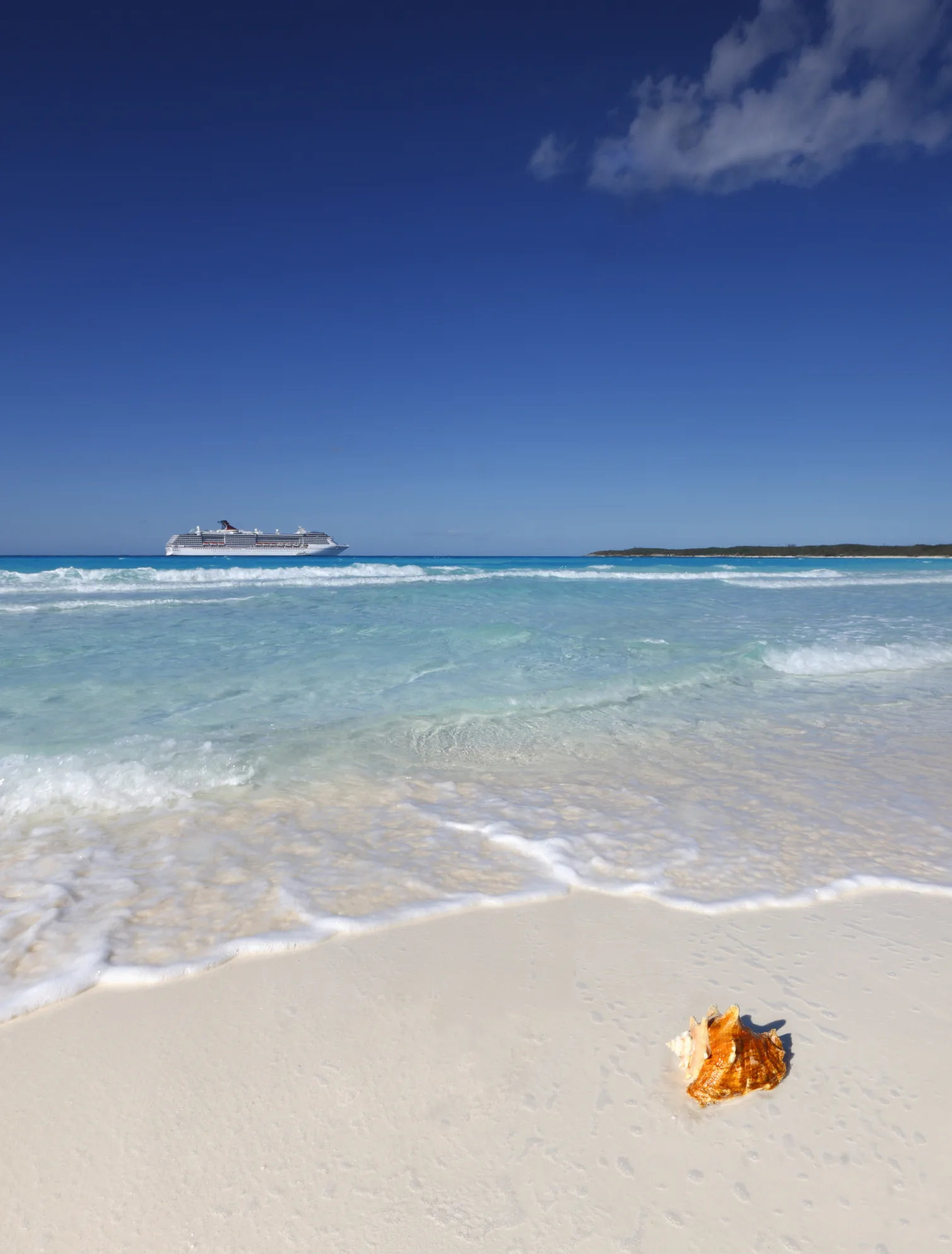 Cruise ship with thousands on board runs aground off Dominican coast