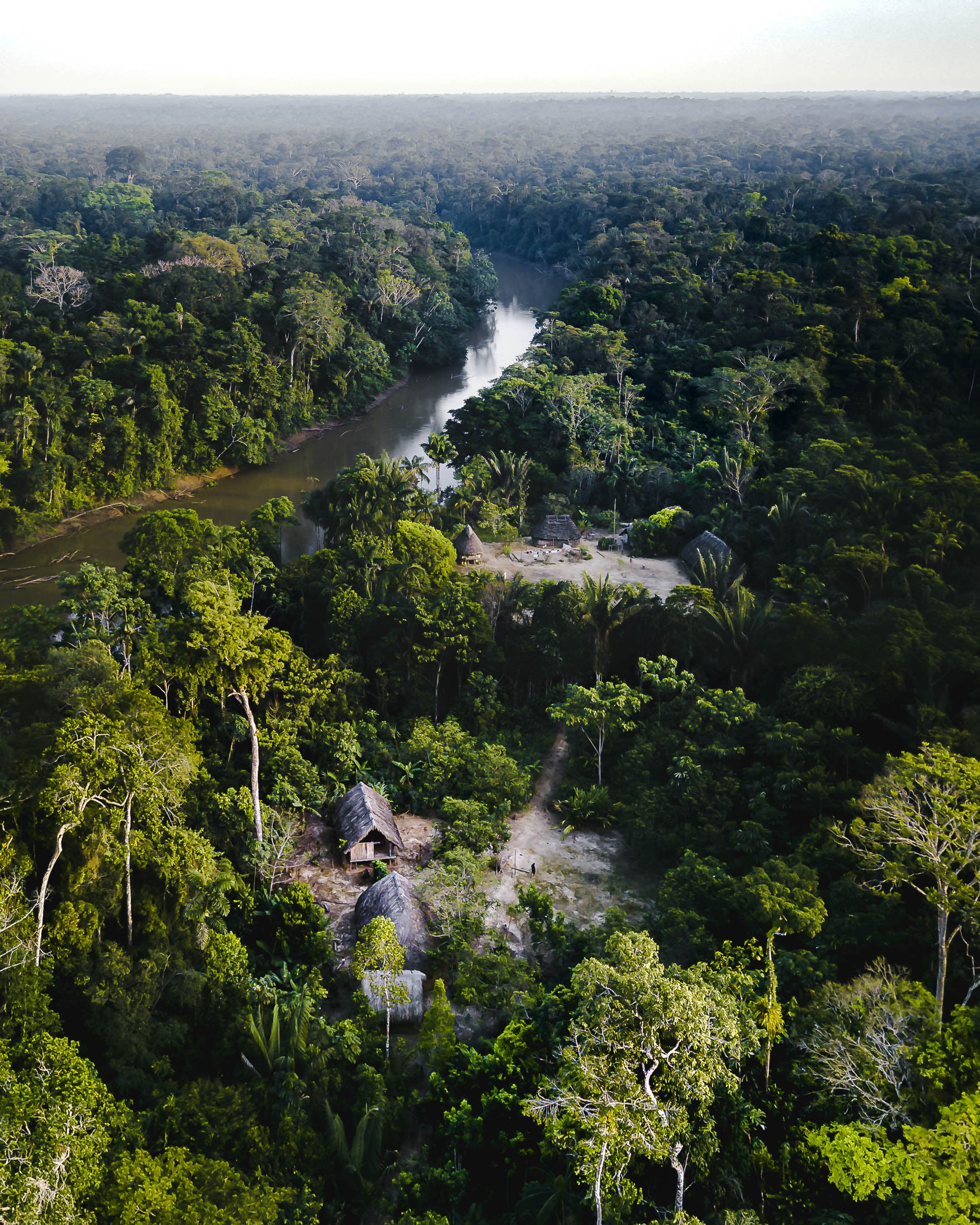 Amazzonia: la deforestazione se ne frega della crisi climatica. In sei mesi sparisce un’area grande tre volte Roma