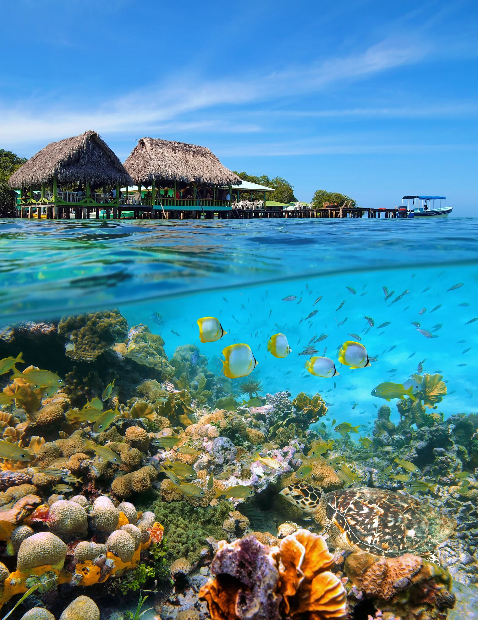 Sotto Panama è stato scoperto un passaggio segreto che porta alle Galapagos