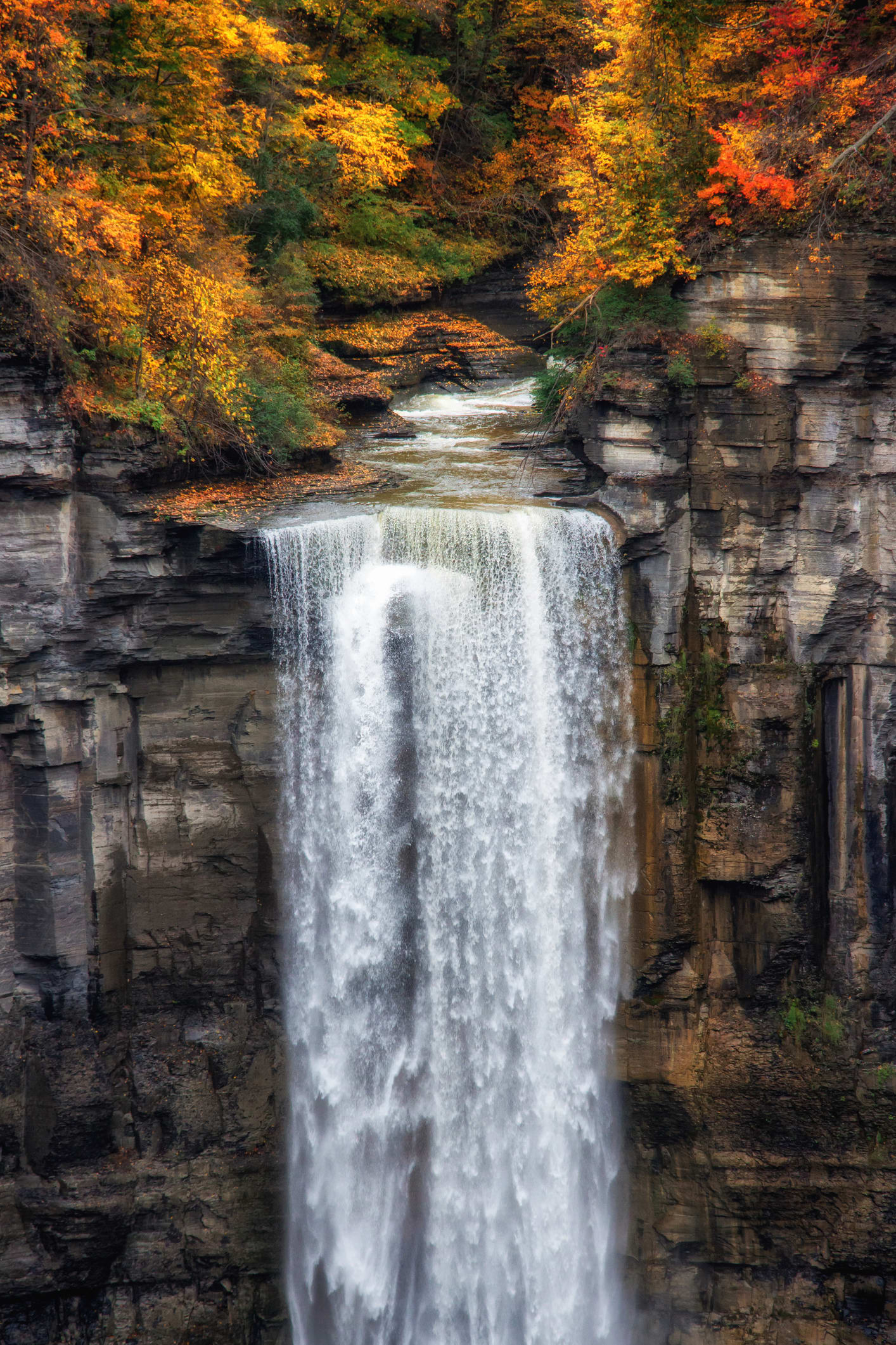'เส้นทางศึกษาธรรมชาติน้ำตกกรุงชิง' หนานฝนแสนห่า ความงามกลางป่าดงดิบ