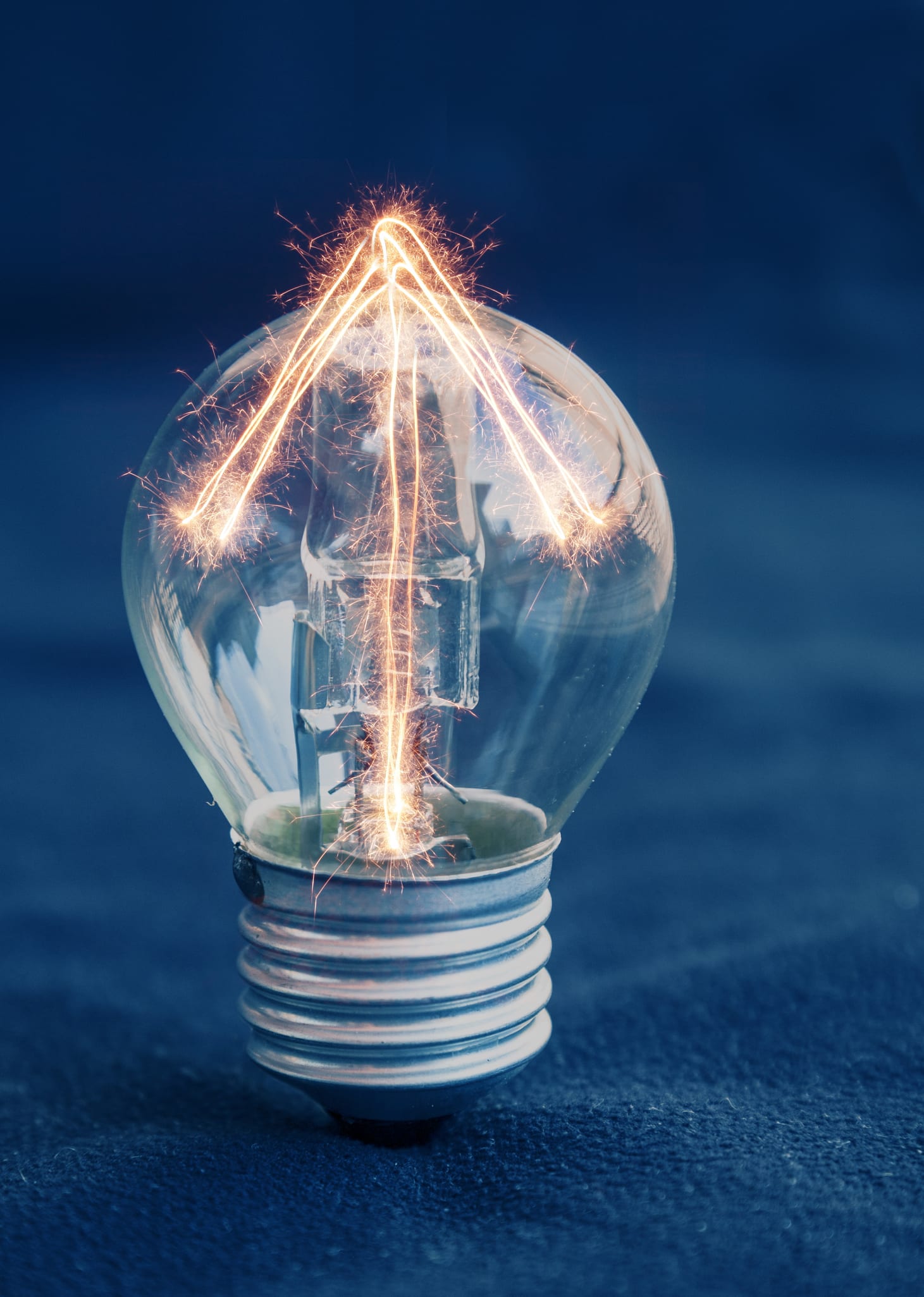 The business growth secrets you are not supposed to know