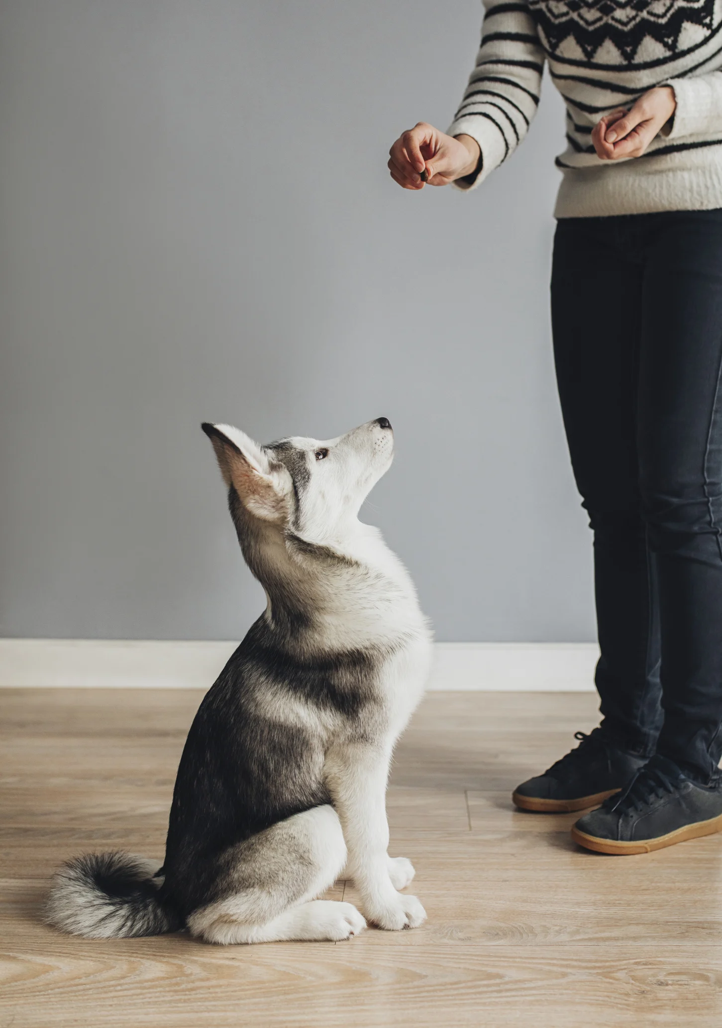 杏、相棒は愛犬と告白　赤ちゃん言葉での会話に「どうかしちゃってる」