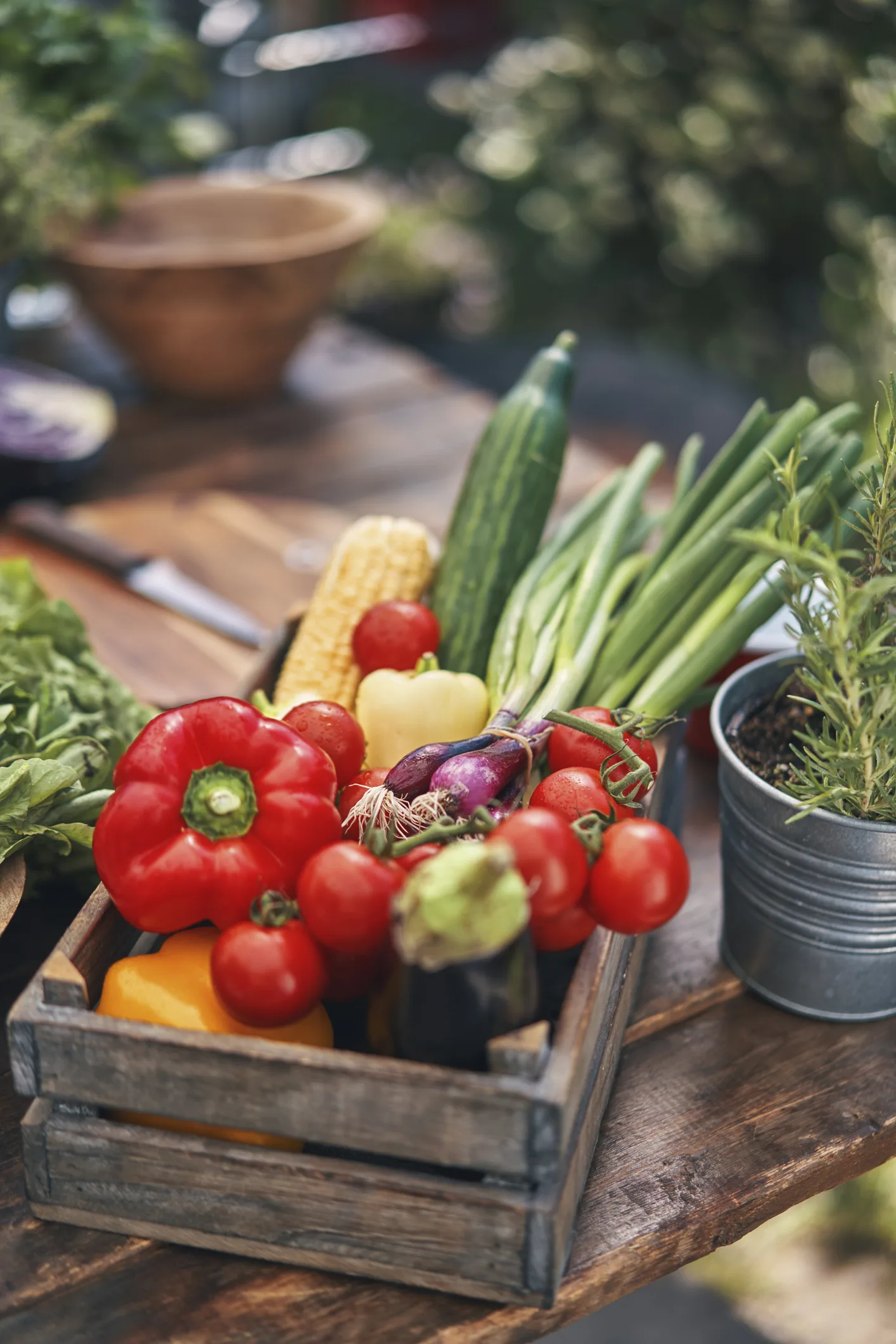 Gemüse schmackhafter machen: Diese drei Rezepte sollten Sie kennen