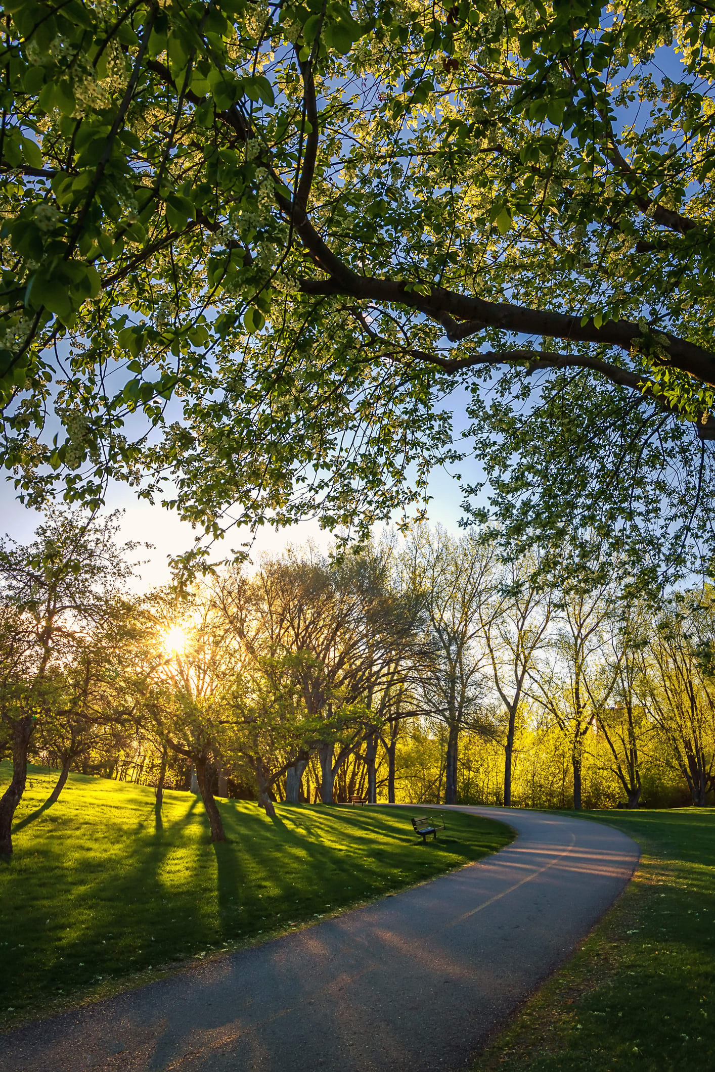 25 frases de buenos días positivas para empezar el día con motivación