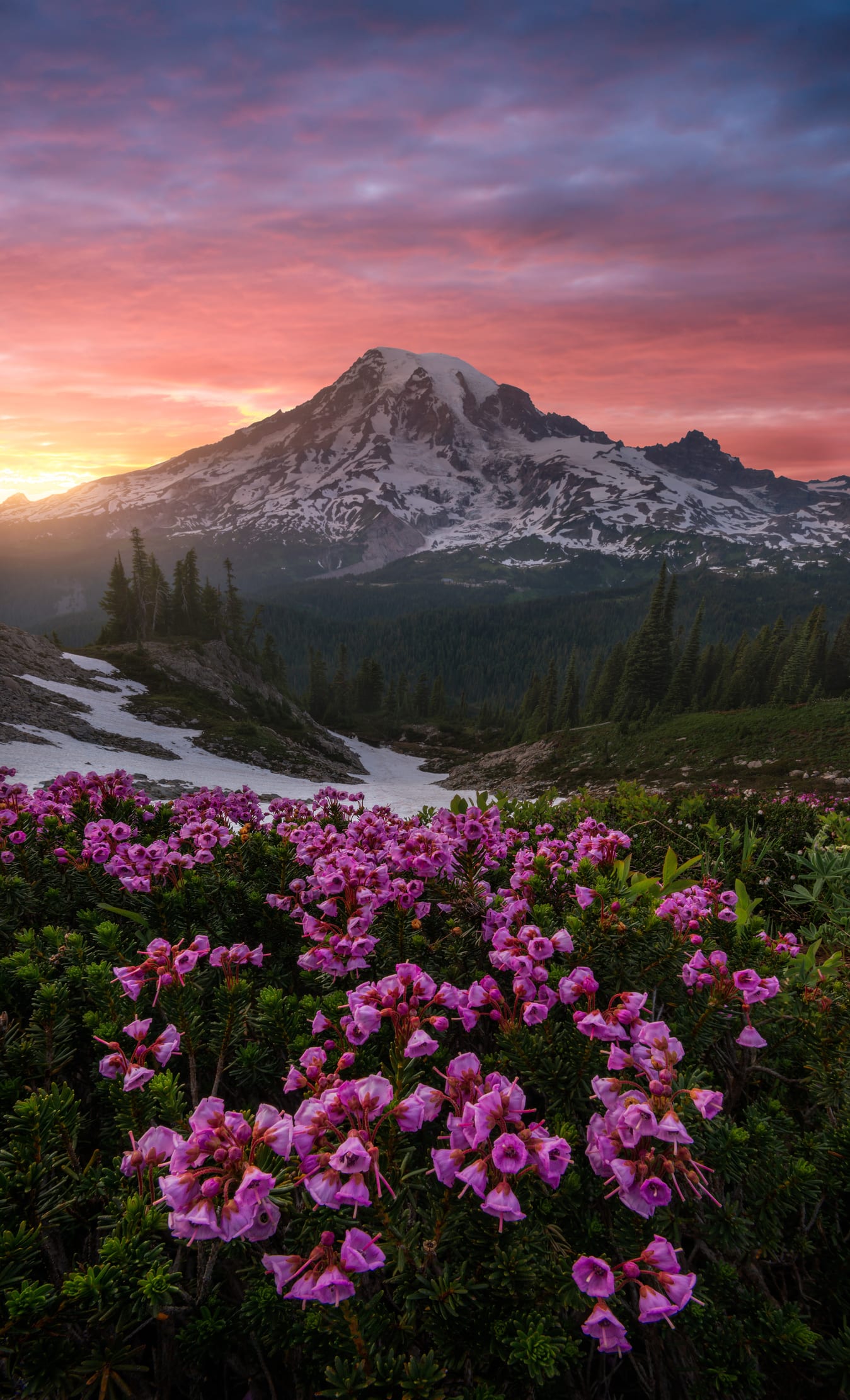 หอมกลิ่นลมหนาวที่....แม่สาย (ตอนที่1)