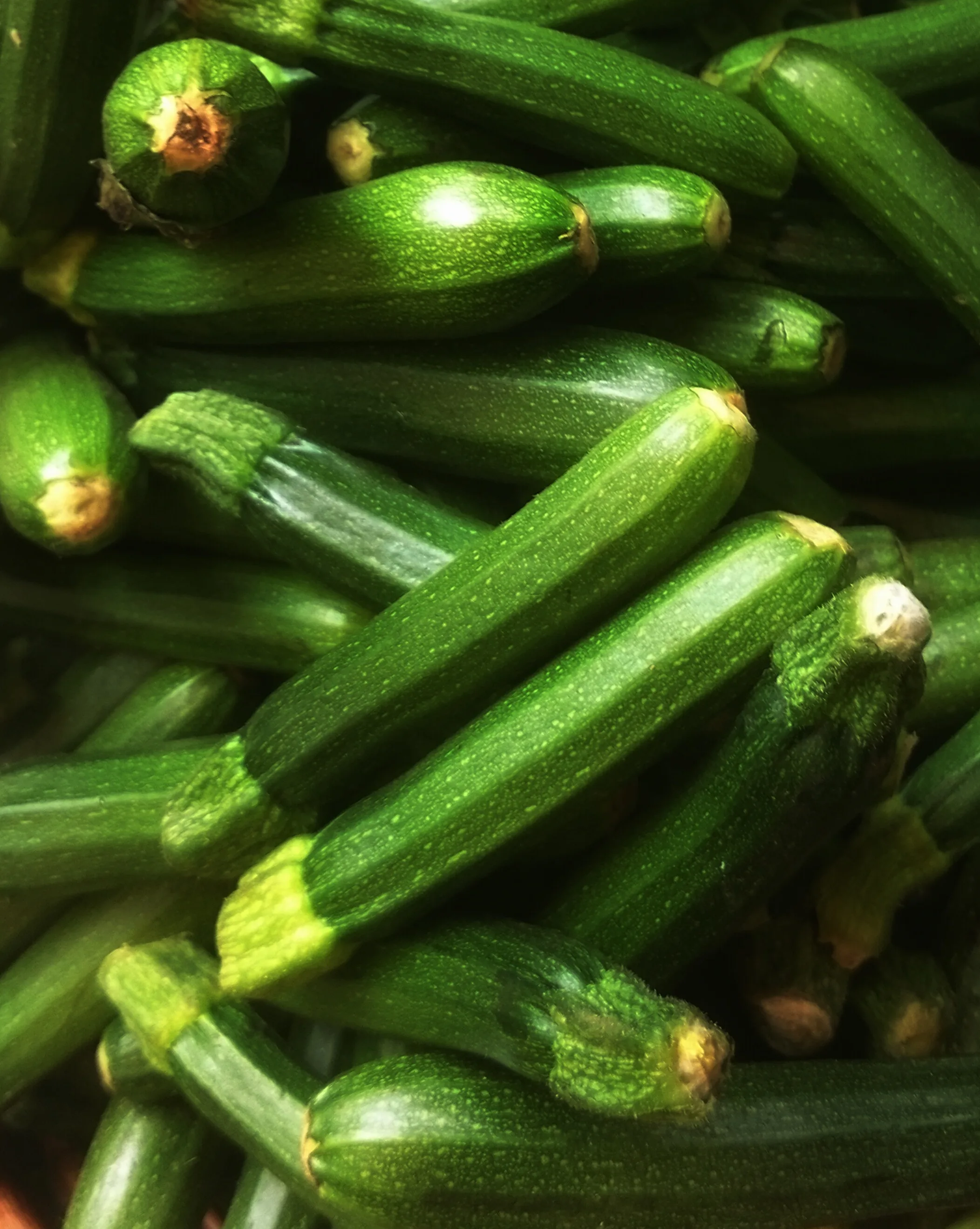 فوائد صحية مذهلة لتناول الكوسة