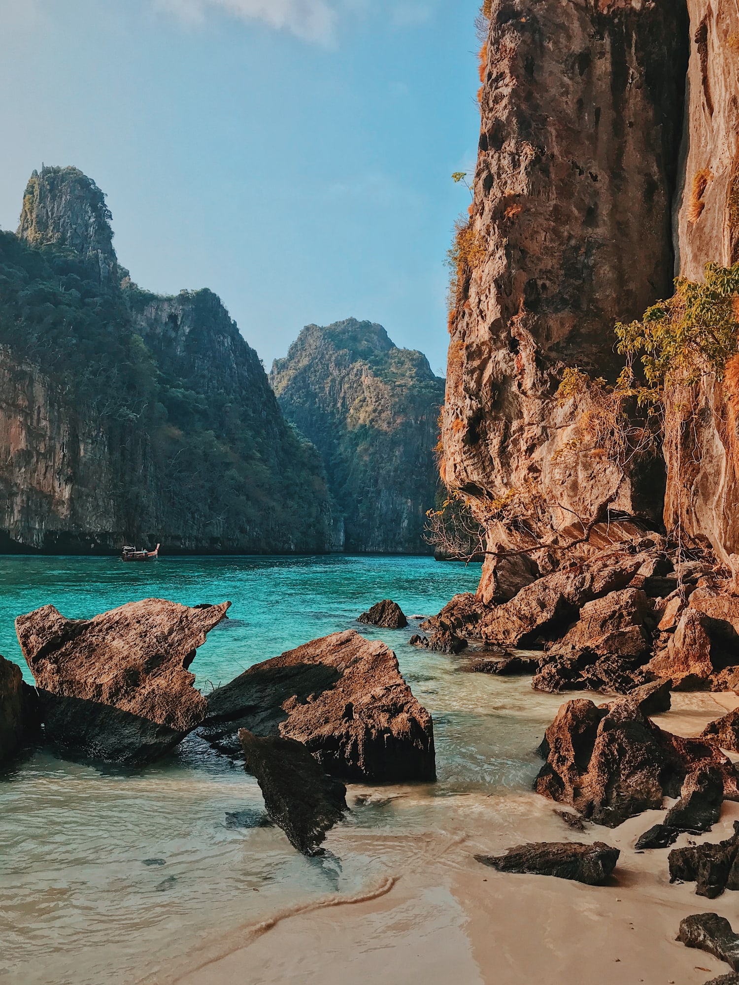 Thailandia. Niente turisti, e poco rumore. Le tartarughe sono tornate a Phuket. Ma non durerà