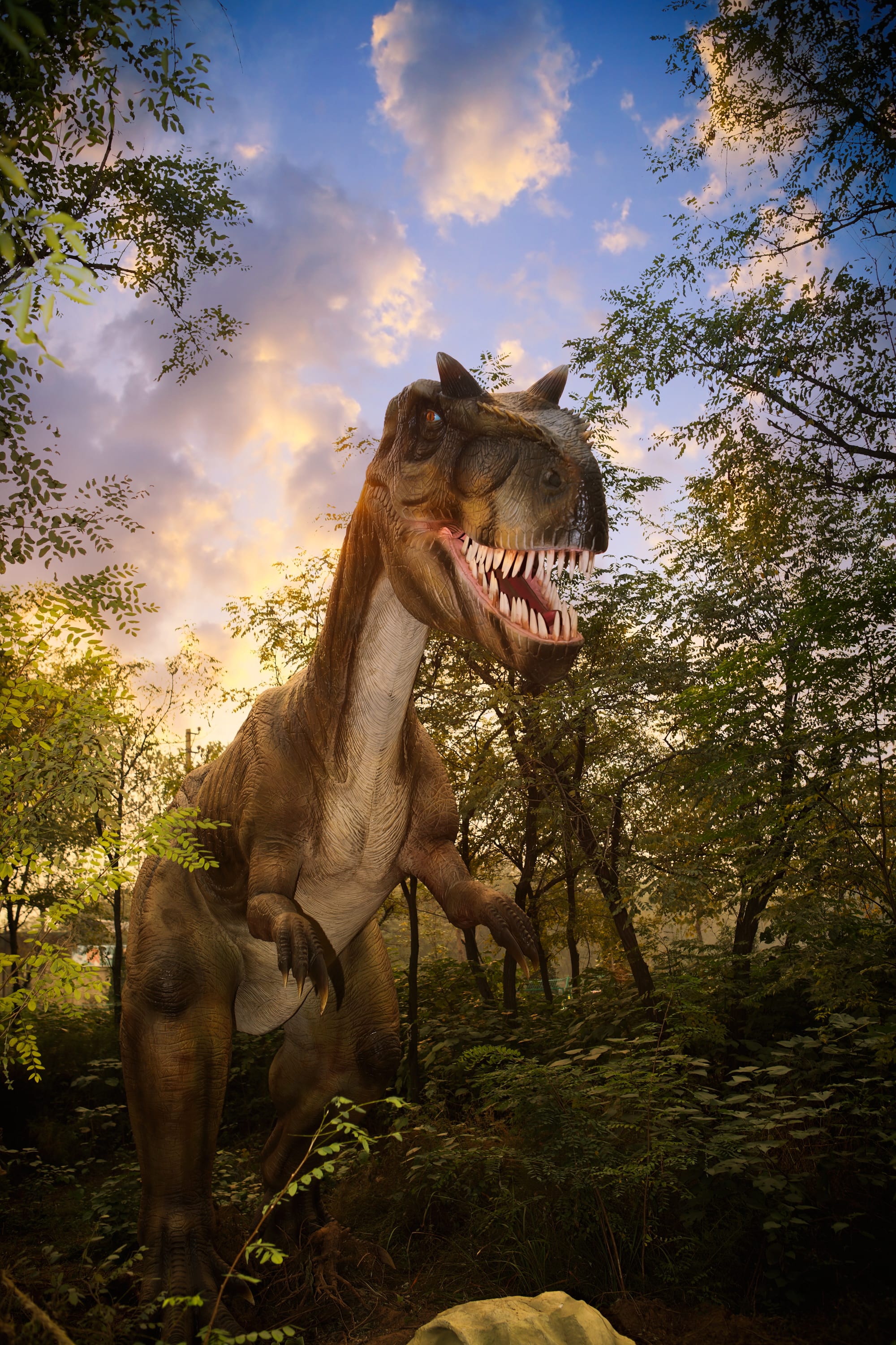 Cientistas encontram pistas sobre mistério dos braços curtos do Tiranossauro rex