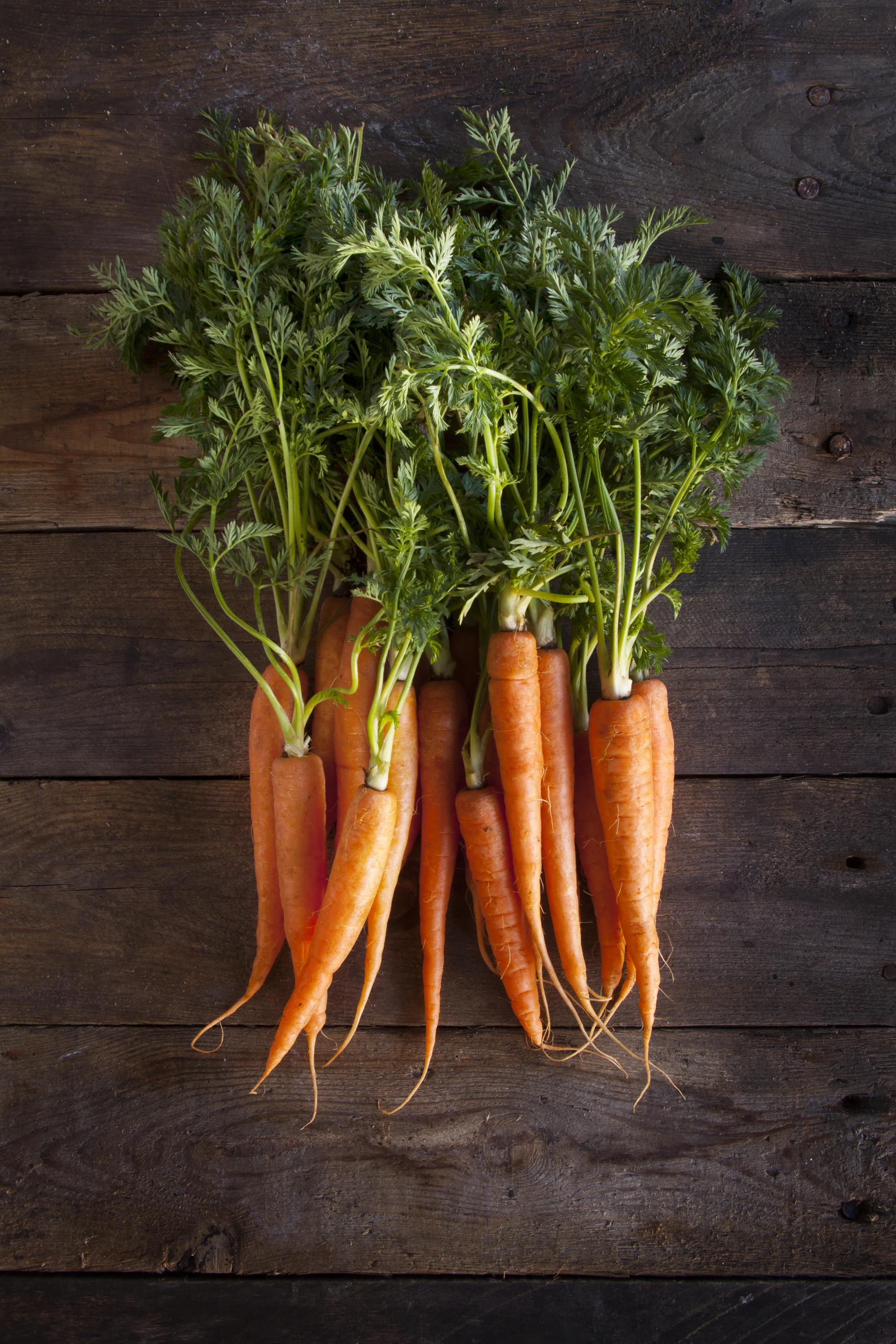 Fried Carrots: the tasty, aromatic side dish recipe