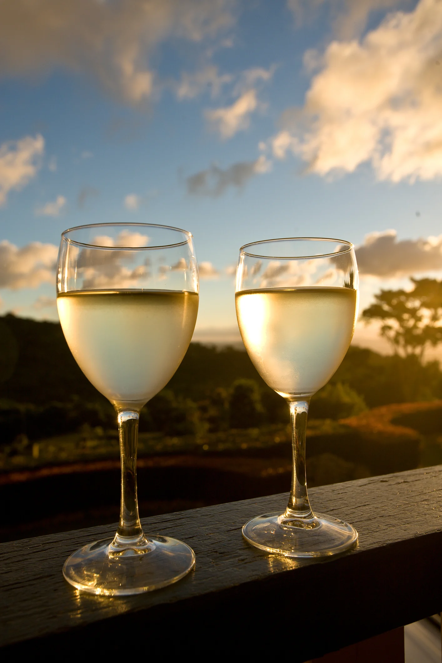 Coloração dos vinhos e a intensidade de cada um