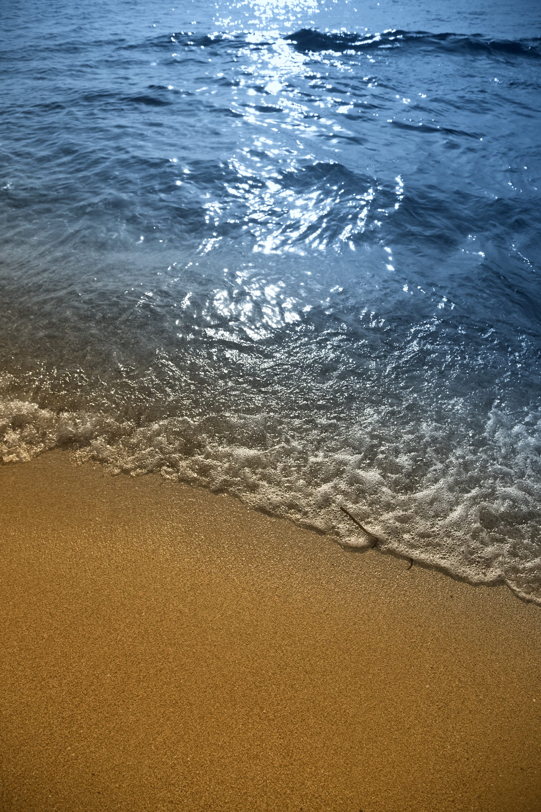 Manual para sumergirse en la otra Formentera