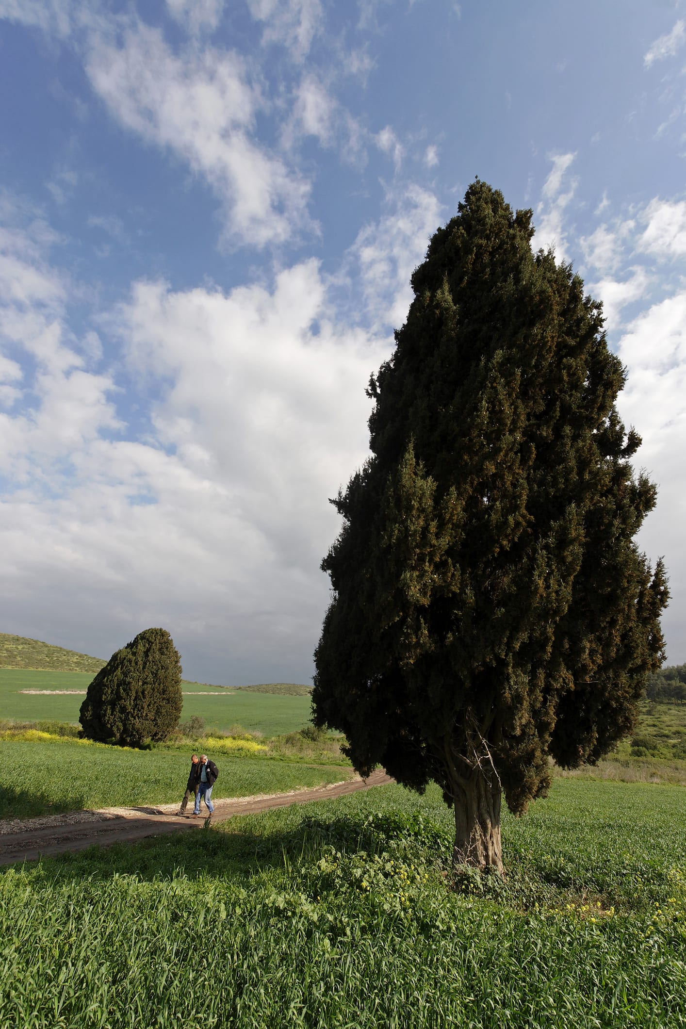 נופש באחד האזורים המיוחדים בארץ – חופשה ברמת הגולן