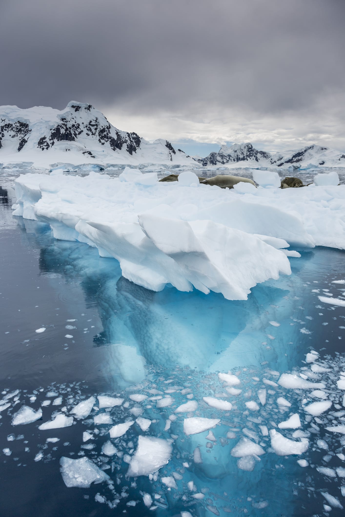 ¡Secreto descongelado! Descubren un enorme lago oculto debajo del hielo de la Antártida