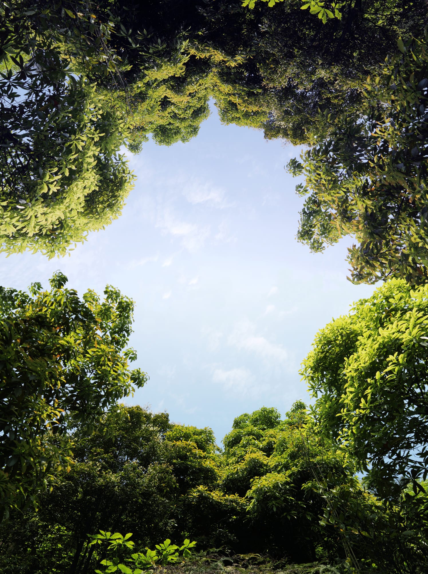 Động vật ăn thịt sớm nhất thế giới được đặt theo tên nhà tự nhiên học