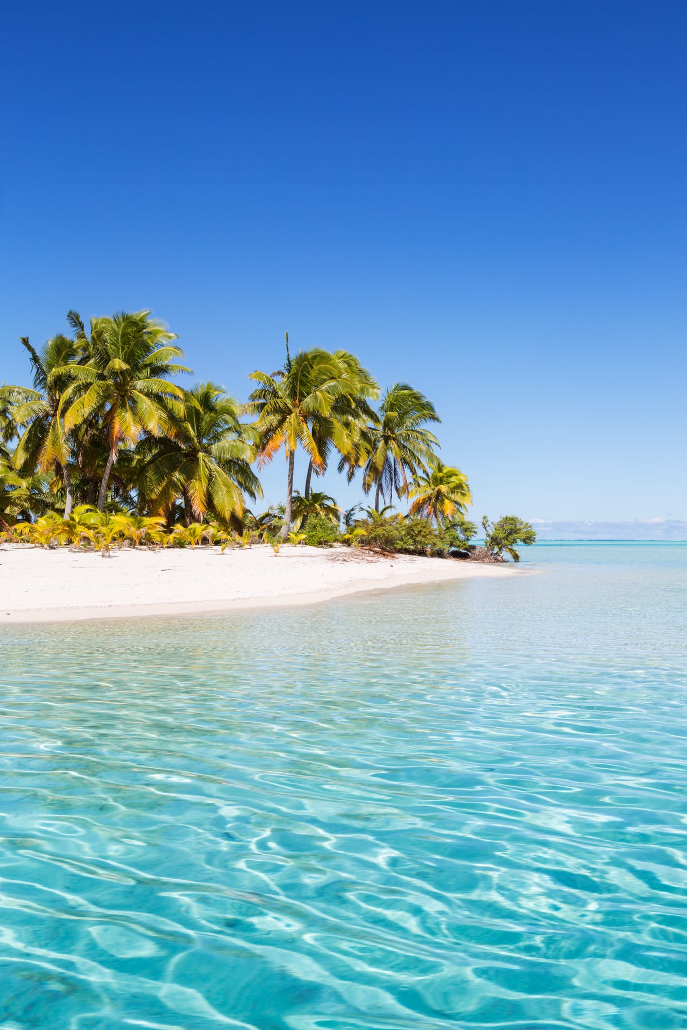 9 best beach bags that will hold all your essentials