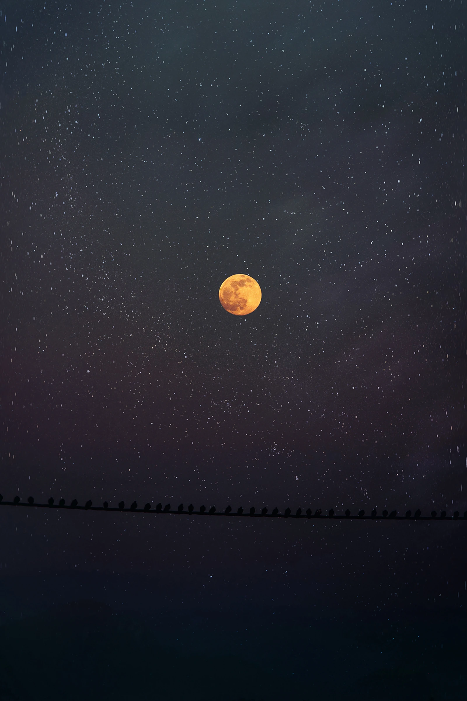 Mondkalender 2022: Wann ist der nächste Vollmond?